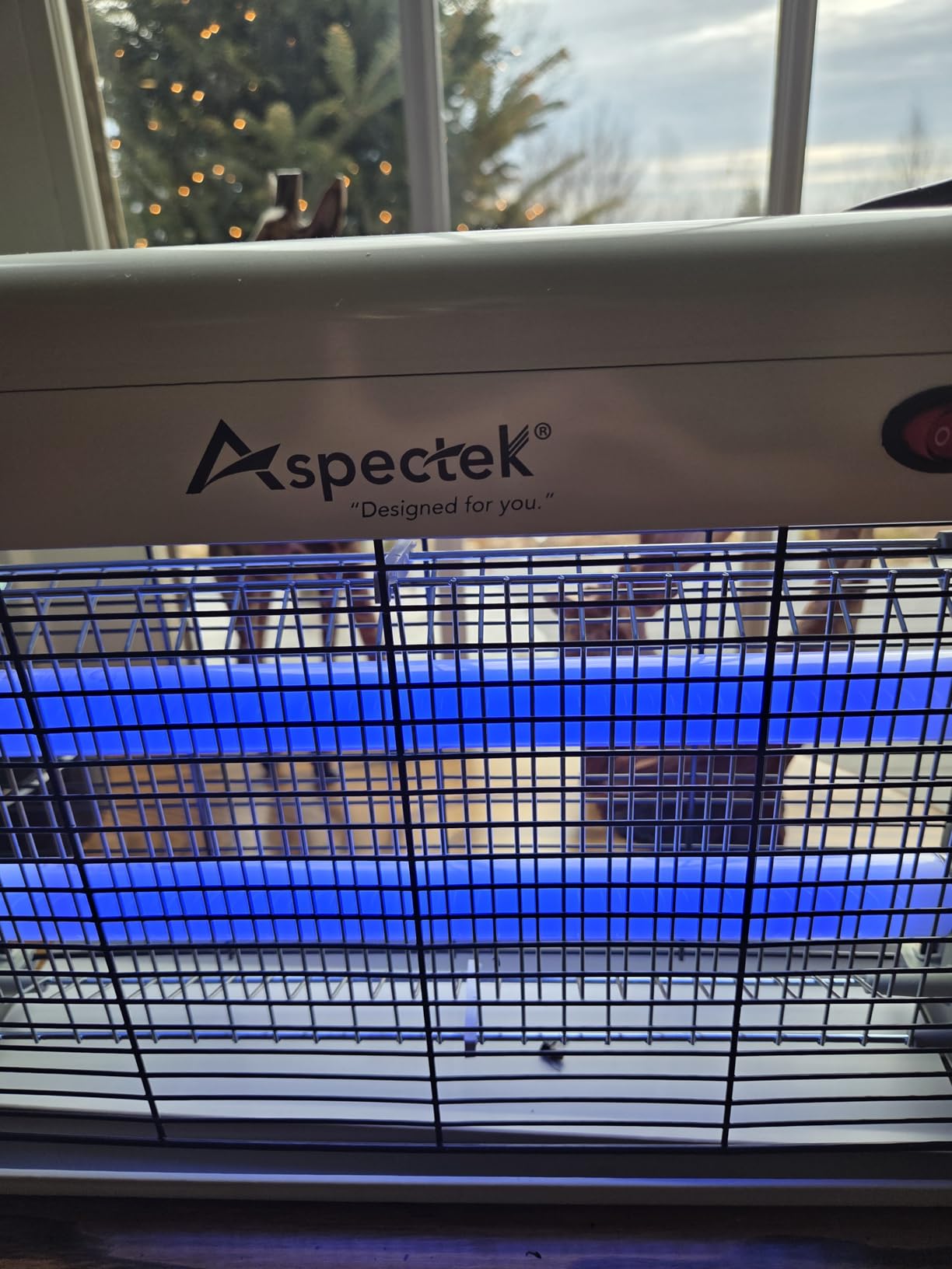 ASPECTEK Electric Bug Zapper, 20W UV Bulbs with 2800V Grid for Fly, Mosquito, Gnat and Moth Control, Indoor and Covered Outdoor Use for Home, Garage, Patio and Farm, Includes 2 Replacement Bulbs customer photo 2