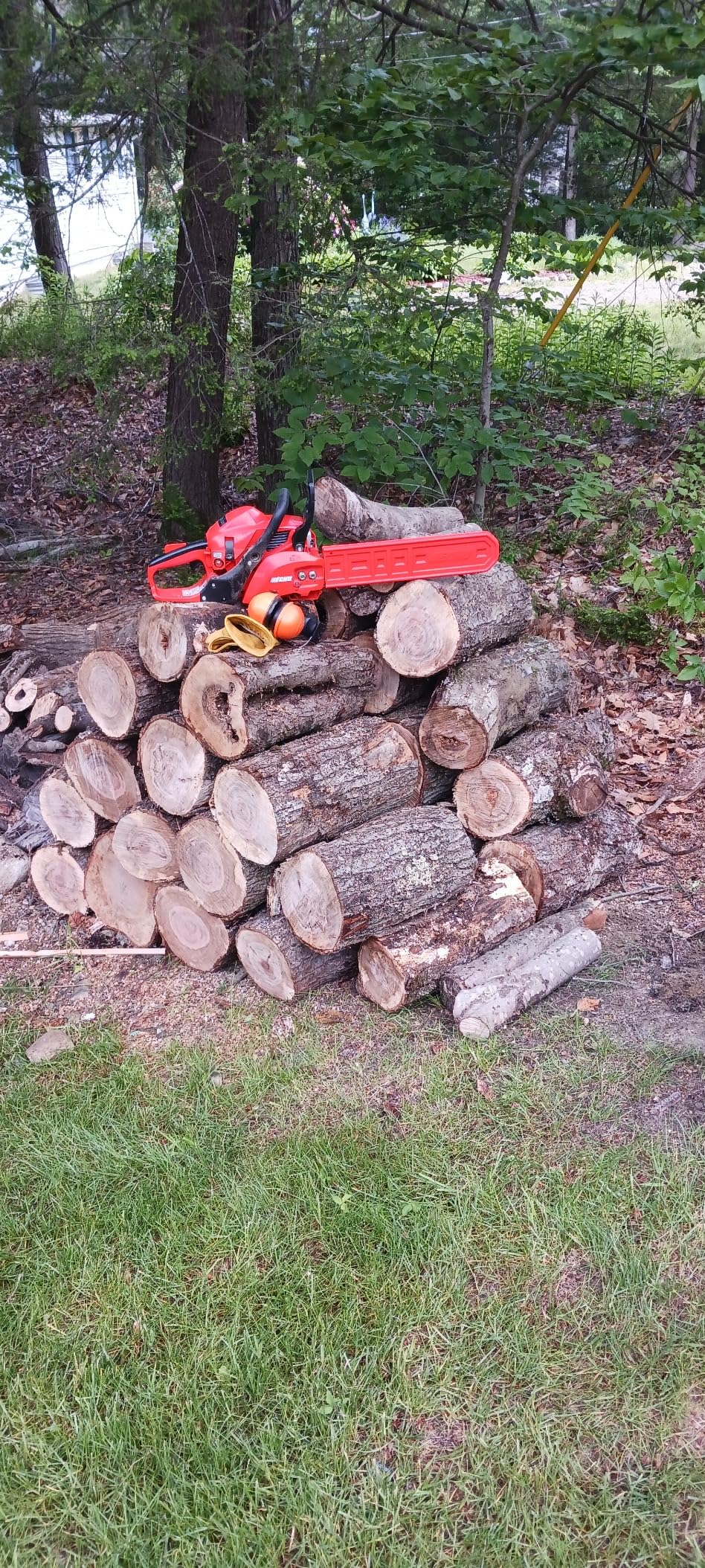 Echo CS-310-16 30.5 cc Chainsaw with 16 in. Bar and Chain customer photo 2