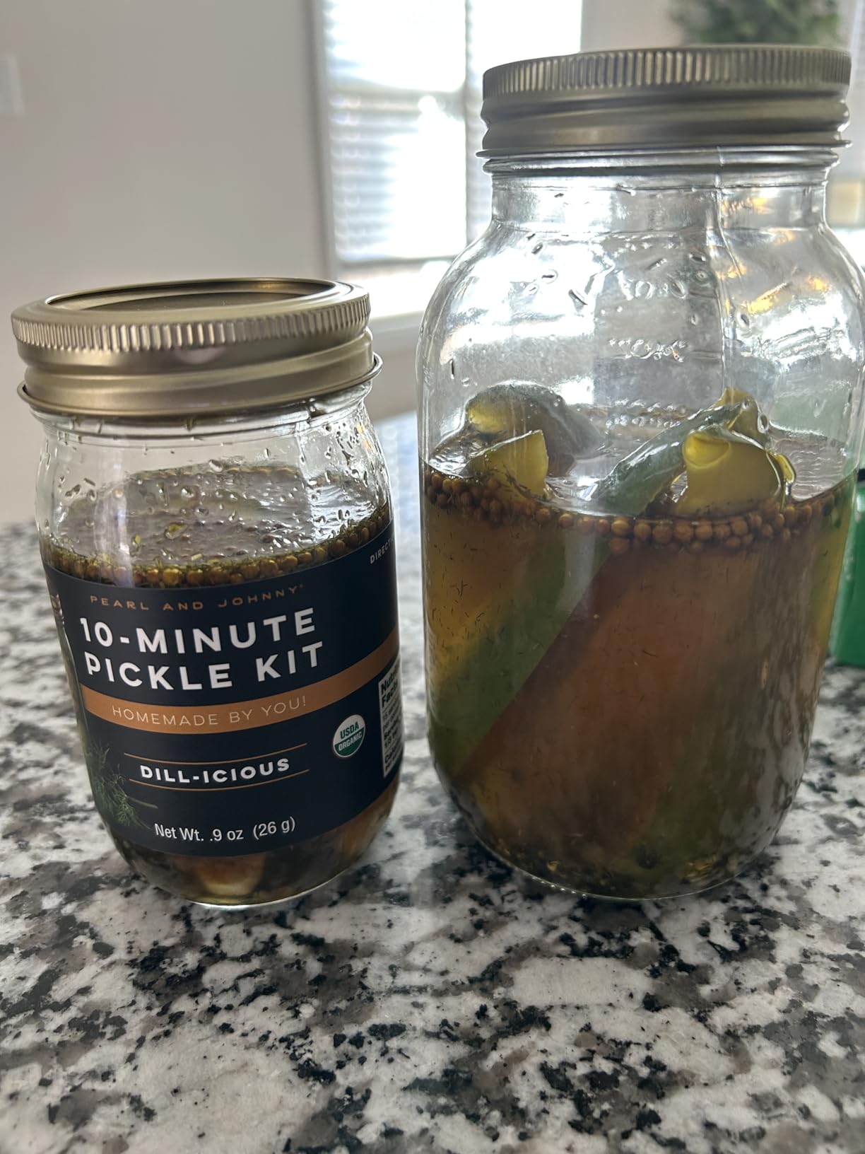 Dill-icious 10-Minute Pickle Kit customer photo 1