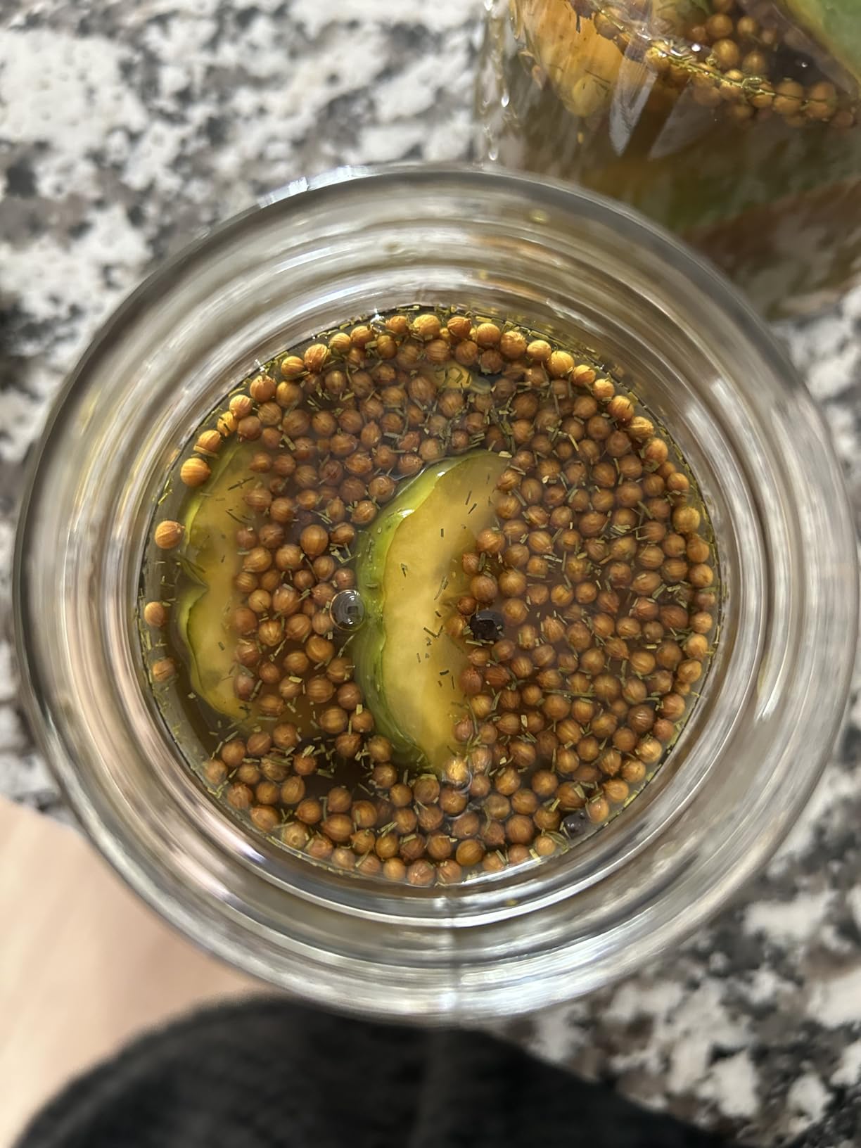 Dill-icious 10-Minute Pickle Kit customer photo 2