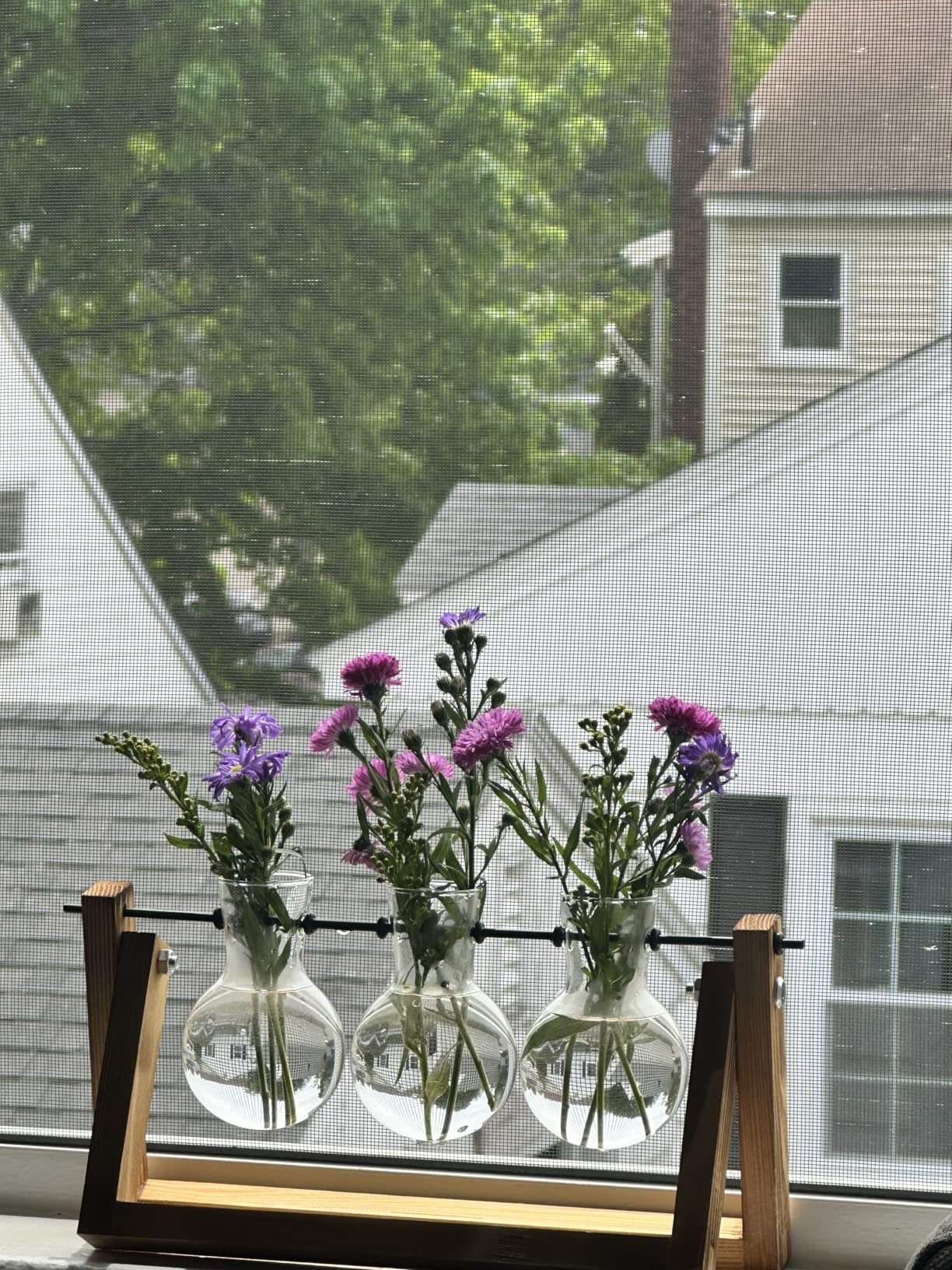 XXXFLOWER Plant Terrarium with Wooden Stand, Air Planter Bulb Glass Vase Metal Swivel Holder Retro Tabletop for Hydroponics Home Garden Office Decoration - 3 Bulb Vase customer photo 2