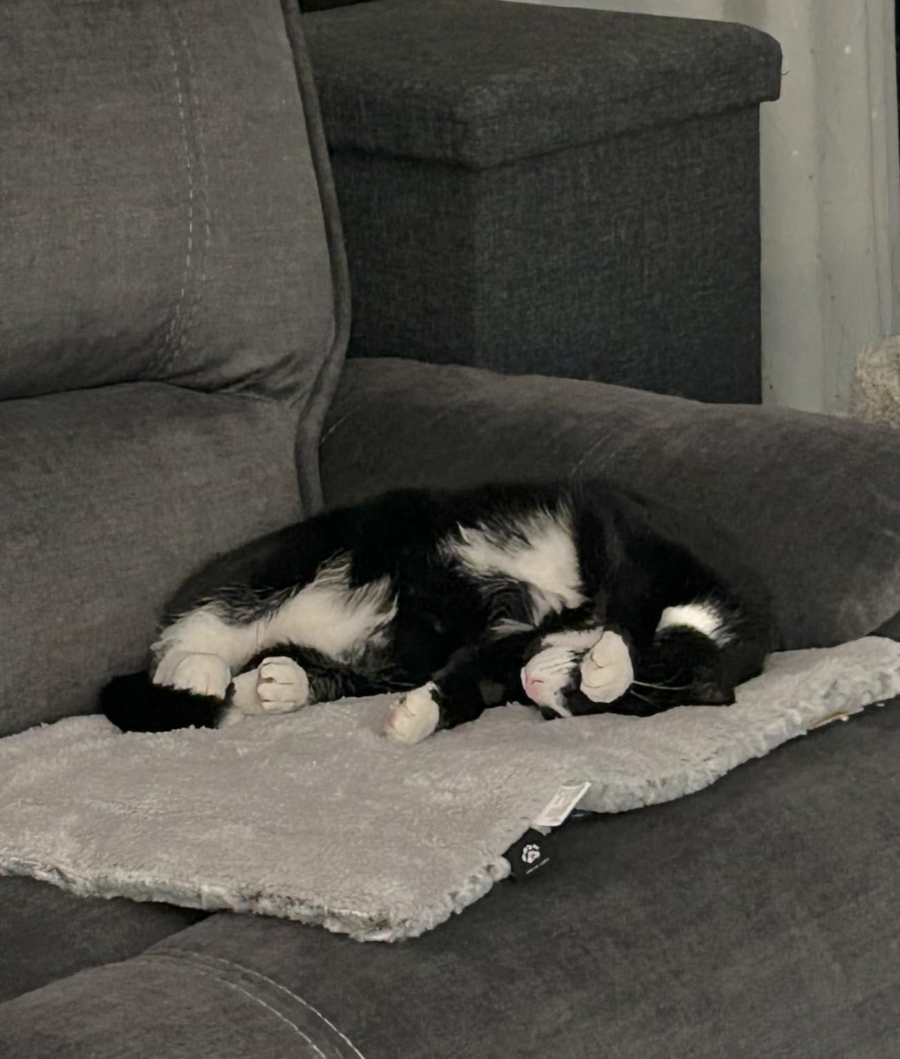 Self Heating Cat Pad Self Warming Bed 27.5