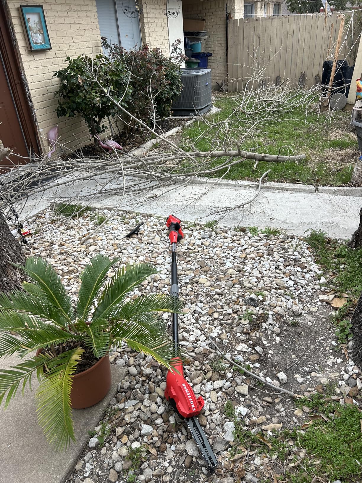 CRAFTSMAN V20 Cordless Pole Saw, 14-Foot, Battery and Charger Included (CMCCSP20M1) customer photo 2