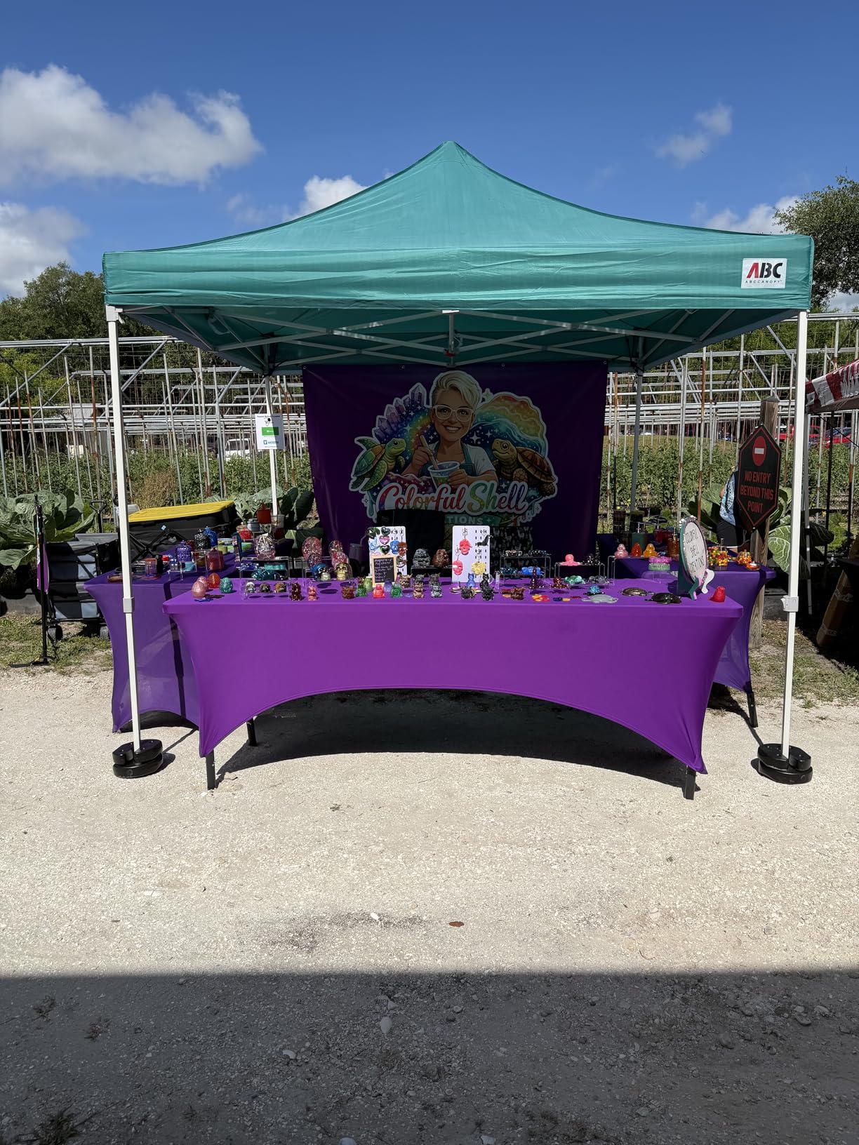 ABCCANOPY Commercial Pop Up Canopy Tent with Sidewalls 10X10,White customer photo 1