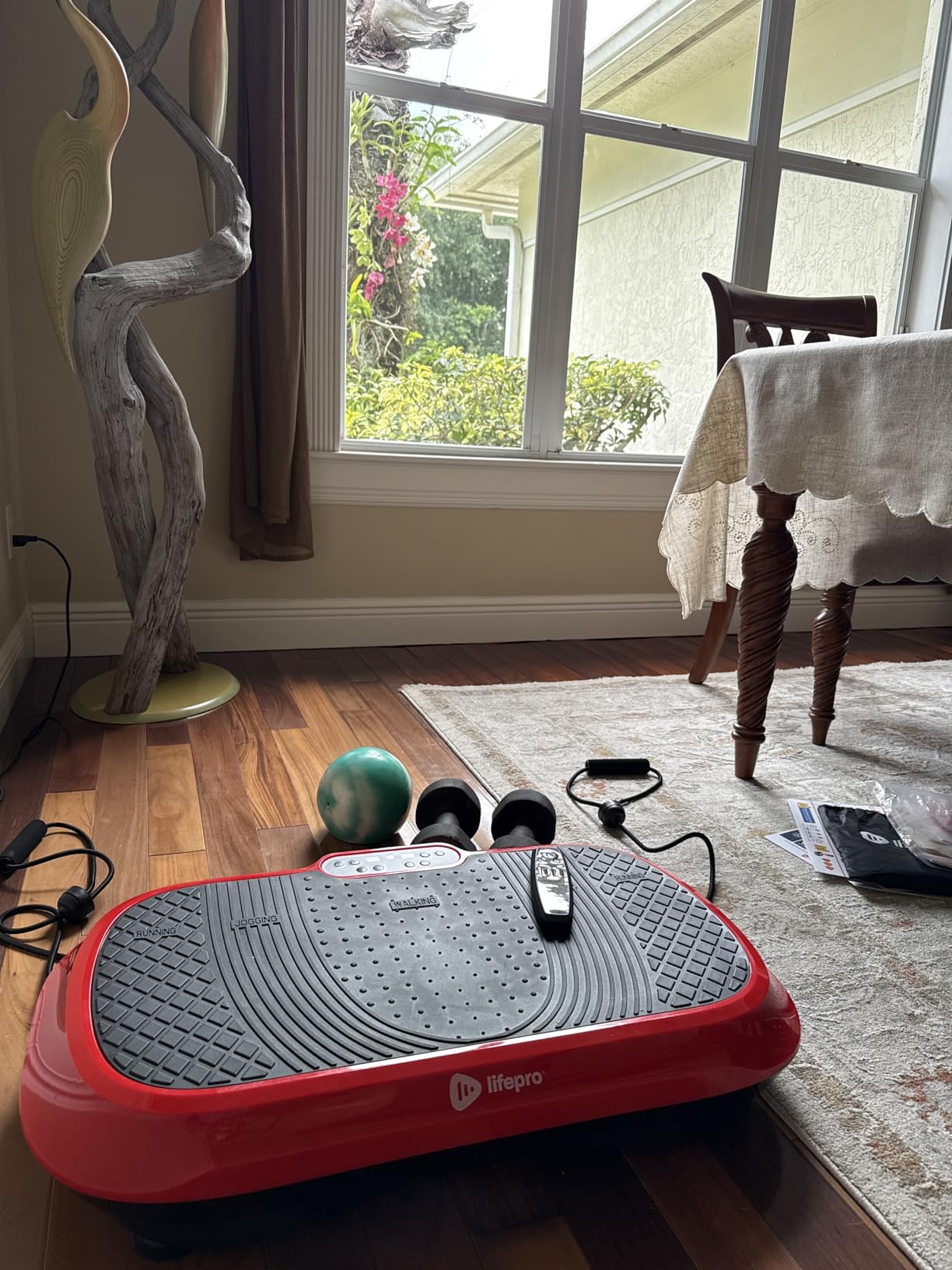Lifepro Waver Vibration Plate Exercise Machine - High-Intensity Vibration Plate for Full-Body Workout with Loop Bands customer photo 1