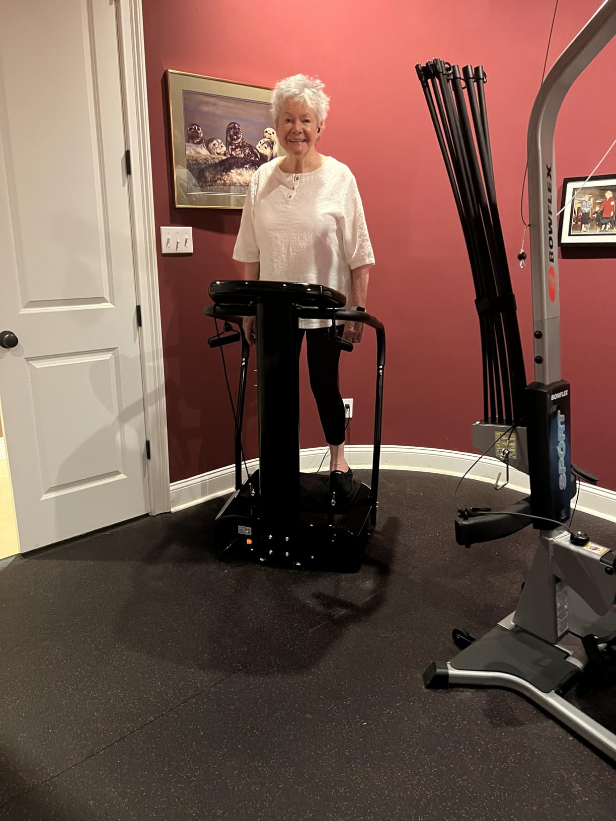 Lifepro Rhythm Vibration Plate Exercise Machine - 99 Speeds & Heart Rate Monitor Whole Body Vibration Platform with Handles customer photo 1