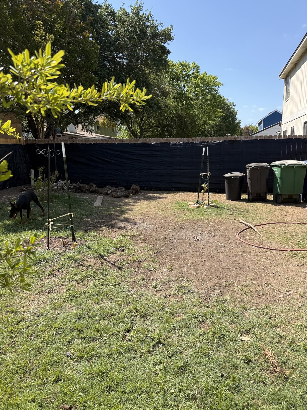 Sunnyglade 6 feet x 50 feet Privacy Screen Fence Heavy Duty Fencing Mesh Shade Net Cover for Wall Garden Yard Backyard (Black, 6 ft X 50 ft) customer photo 2