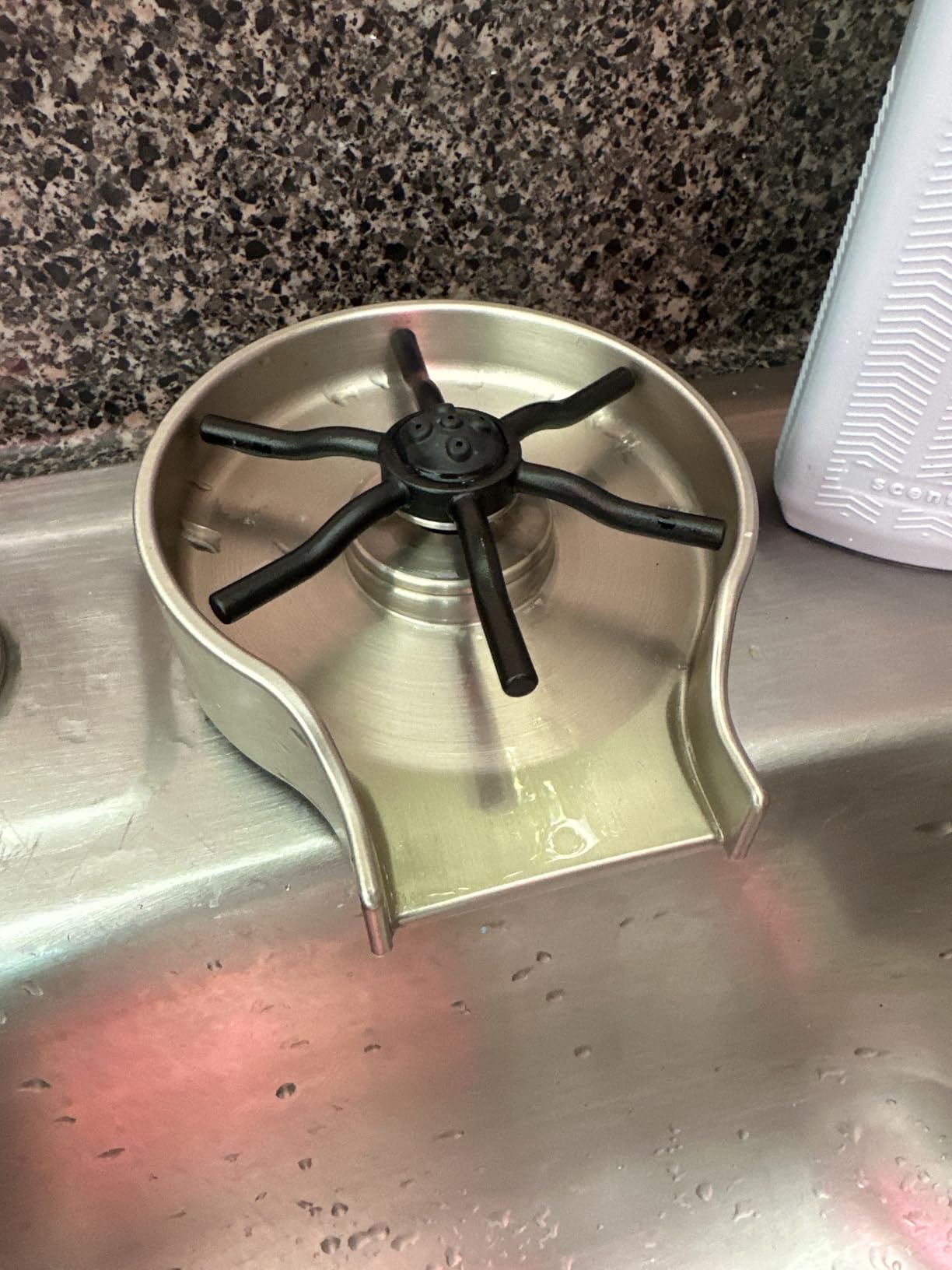 Delta Faucet Glass Rinser for Kitchen Sinks, Kitchen Sink Accessories, Bar Glass Rinser, SpotShield Stainless GR150-SP customer photo 2