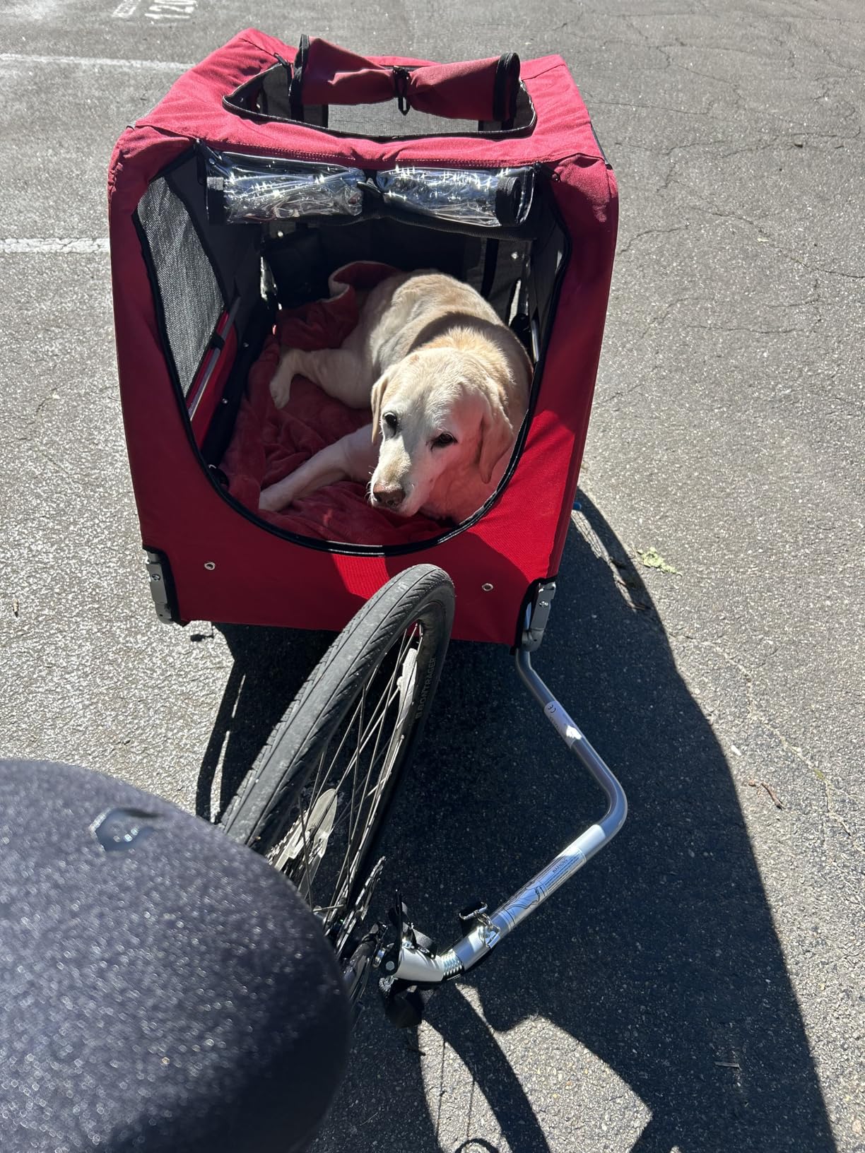 DOGGYHUT Premium Large/XL Pet Bike Trailer & Stroller for Large Sized Dog or Multiple Small Dogs, Low Center of Gravity, Parking Brakes, Easy Folding Frame, Bicycle Carrier customer photo 2