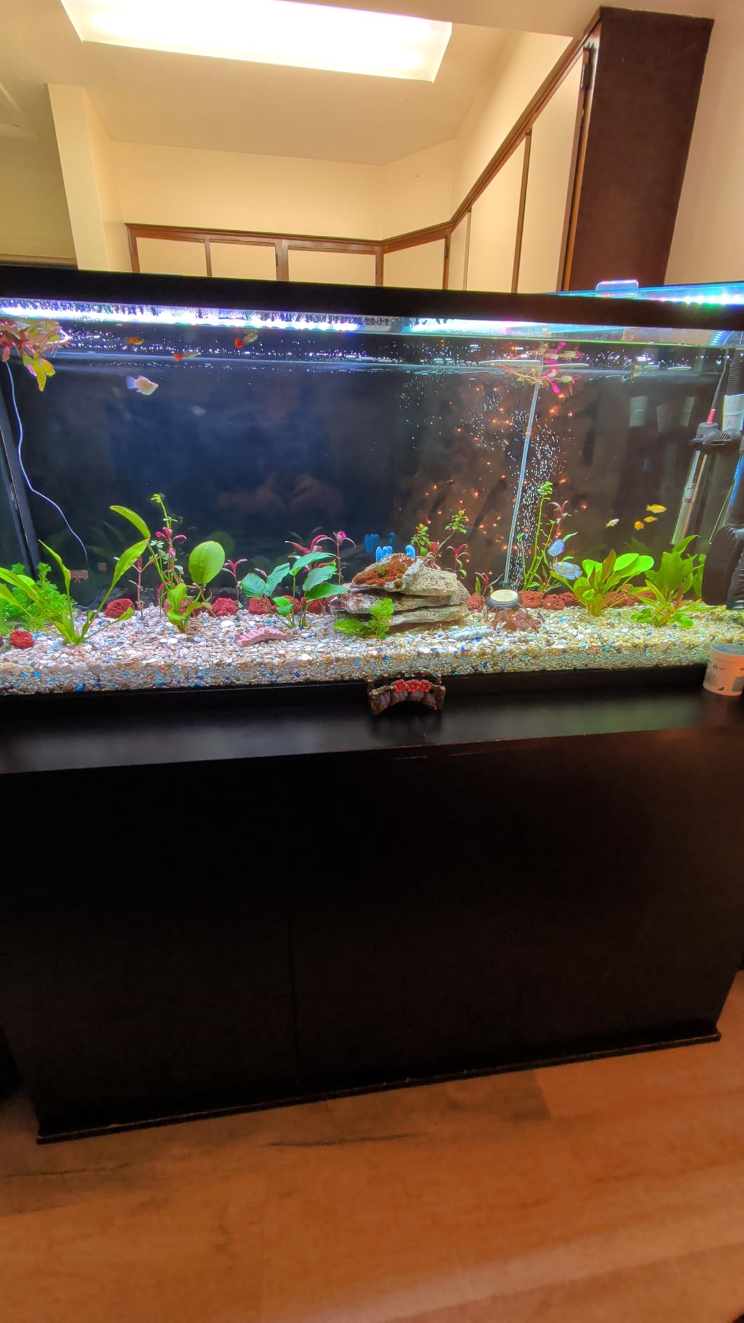 Fluval FX2 High Performance Canister Aquarium Filter - Multi-Stage Filtration, Built-in Powered Water Change System customer photo 2