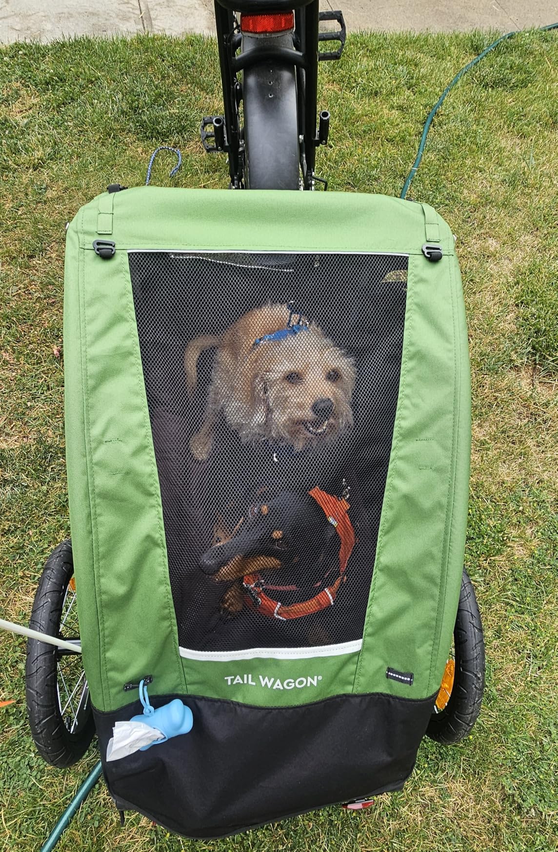 Burley Tail Wagon | Lightweight Dog Bike Trailer with Mesh Windows, Removable Floor & Low-Clearance Entry customer photo 1