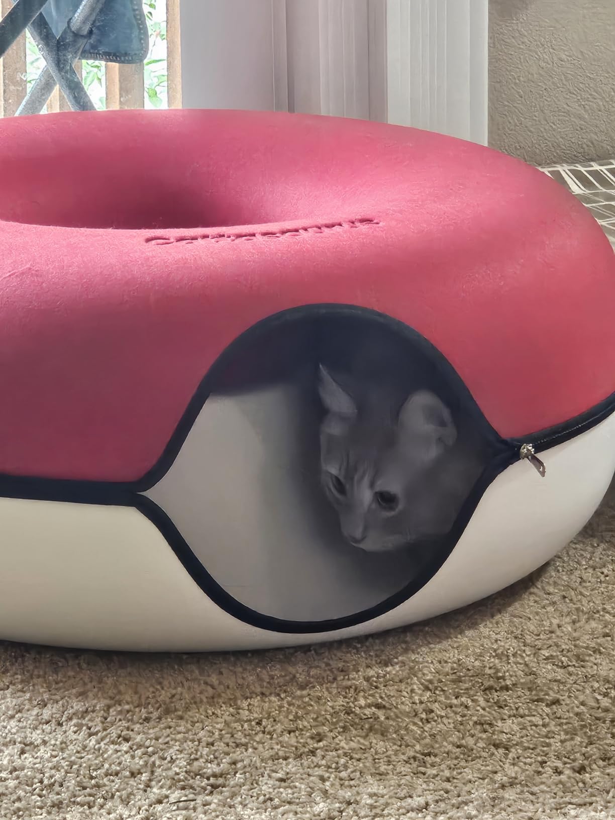Cattasaurus Peekaboo Cat Cave Donut for Multiple & Large Cats up to 30-45 lbs, 3-in-1 Self Warming Cat Bed, Tunnel & Scratcher for Indoor Cats, Washable & Detachable Small Dog Bed (Light Gray, Large) customer photo 1