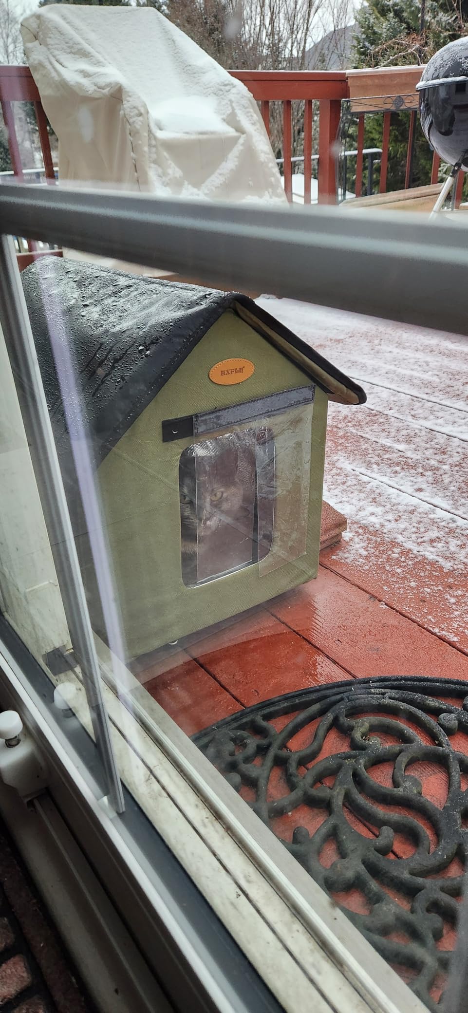 Heated Cat Houses for Outdoor Cats - Elevated Weatherproof Insulated Heated Outdoor Cat House for Winter - Feral Cat Shelter for Outside Cats - Outdoor Heated Cat House (Green) customer photo 2