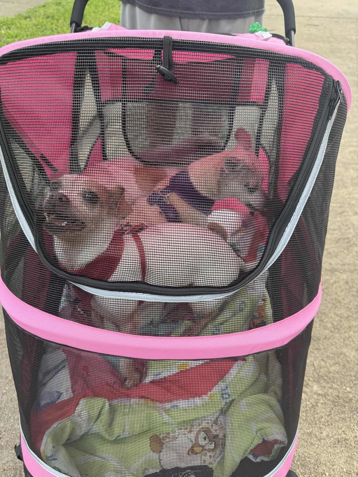 Petbobi Dog Stroller for Large & Medium Dogs - Easy Fold Dual Entry Pet Stroller with One-Foot Brake, All Terrain Wagon Cart with Air Mesh, Ideal for Large Senior Pets up to 80 lbs, Black customer photo 1