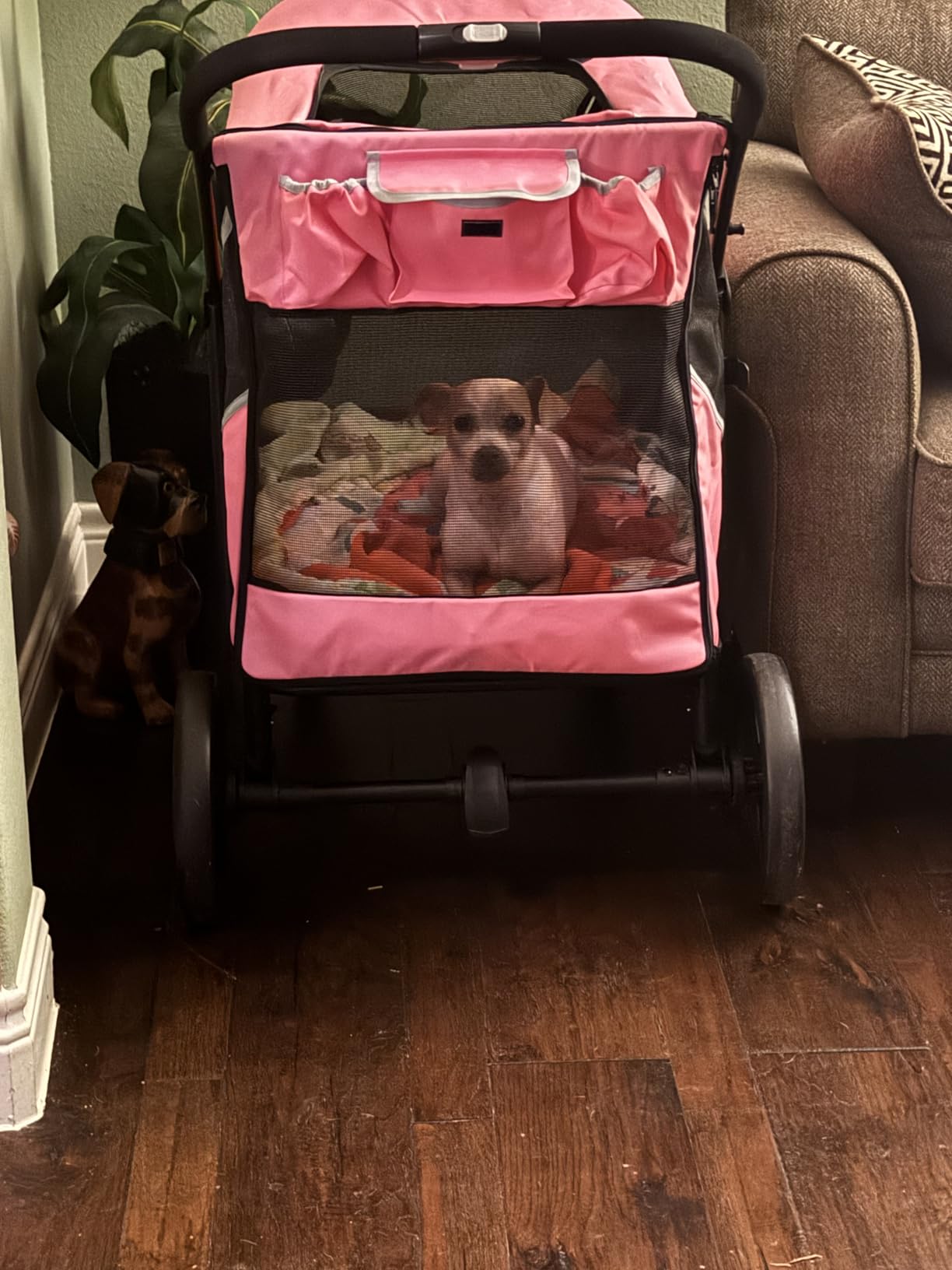 Petbobi Dog Stroller for Large & Medium Dogs - Easy Fold Dual Entry Pet Stroller with One-Foot Brake, All Terrain Wagon Cart with Air Mesh, Ideal for Large Senior Pets up to 80 lbs, Black customer photo 2