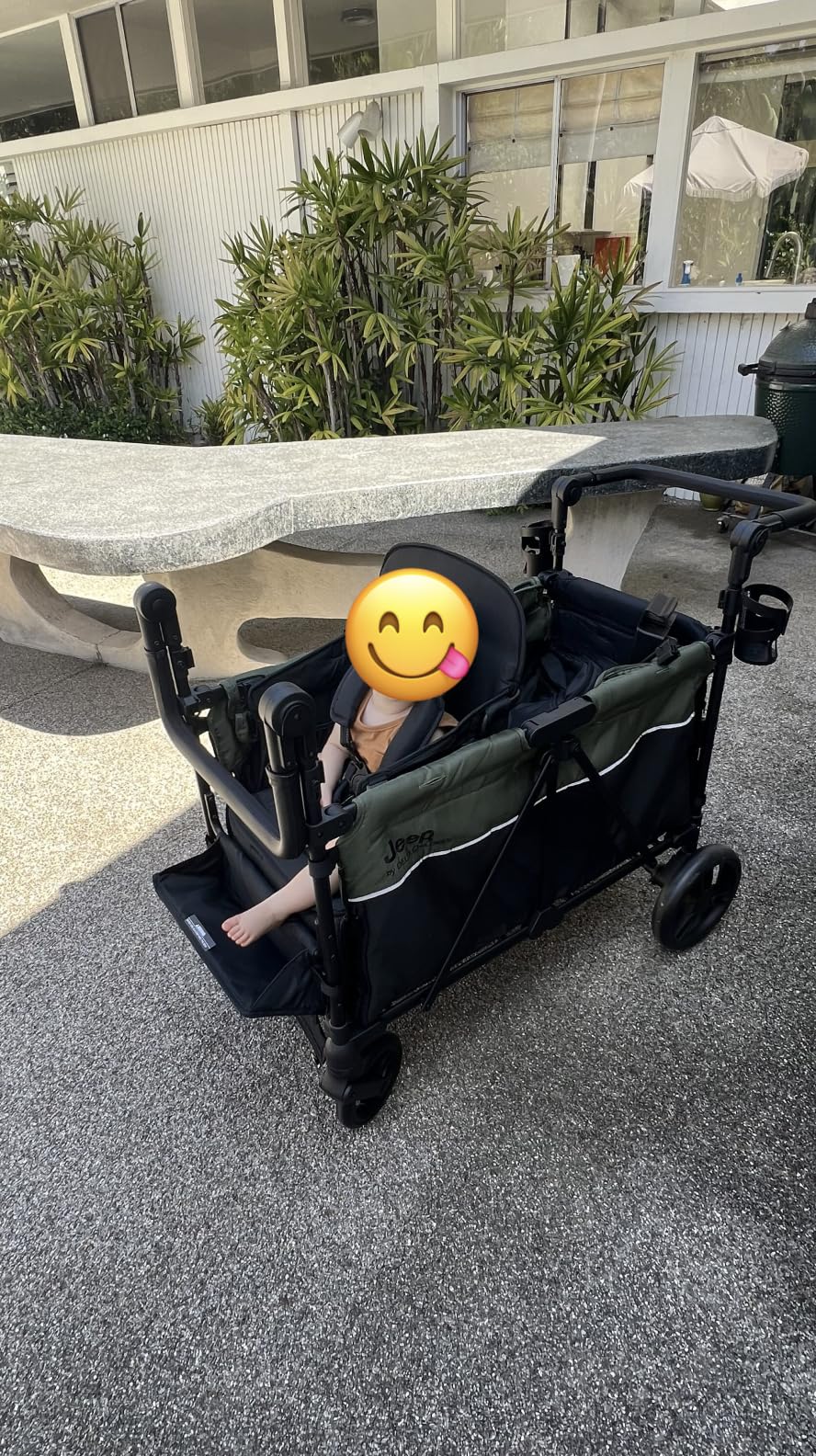 Jeep Aries Stroller Wagon by Delta Children Premium Wagon for 2 Kids with Convertible Seats, Adjustable Push/Pull Handles, Removable Canopy & Flat Fold - Greenguard Gold Certified, Black/Green customer photo 1