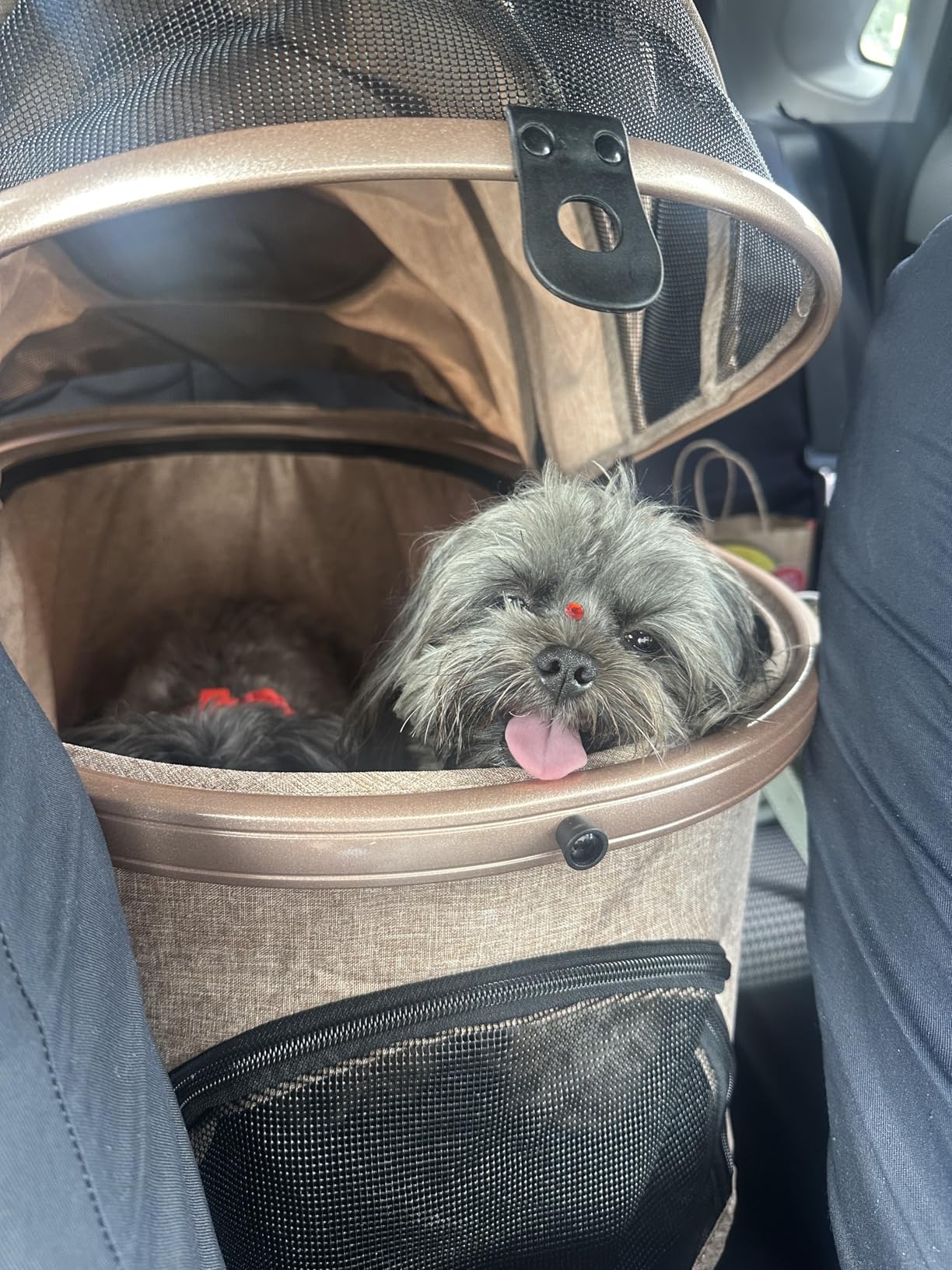Bicystar Pet Stroller for Medium Dogs, Smooth-Ride Dog Stroller with Detachable Carrier, Rubber Wheels, Car Seat Combo 3-in-1, Up to 50 lbs, for Senior Dogs & Cats, Grey customer photo 1