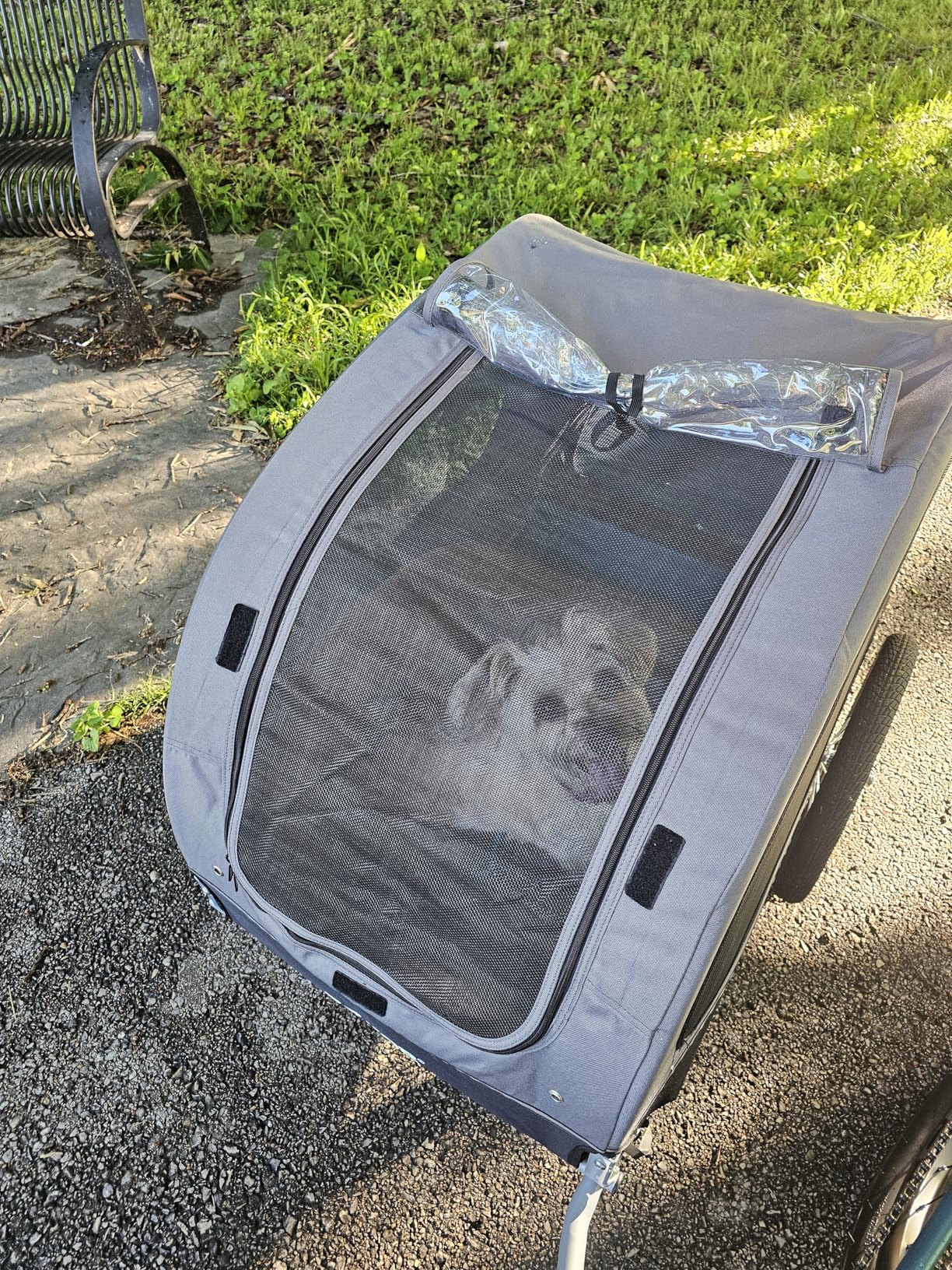 VEVOR Dog Bike Trailer, Supports up to 88 lbs, Pet Cart Bicycle Carrier, Easy Folding Frame with Quick Release Wheels, Universal Bicycle Coupler, Reflectors, Flag, Collapsible to Store customer photo 2