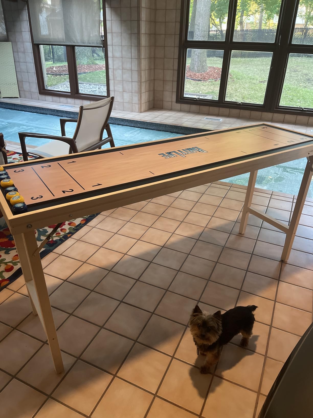 6-Foot Premium Shuffleboard Table w/Folding Legs, Pucks, and Optional LED Lights - Awesome Graphics customer photo 2