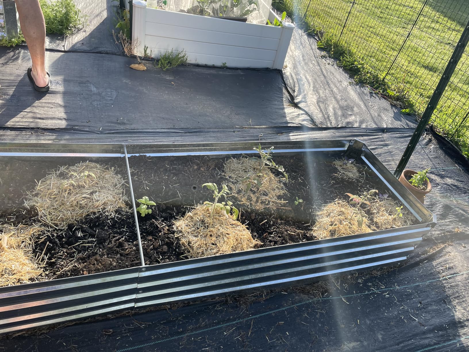 Meberam 2 Pack 6x3x1FT Galvanized Raised Garden Beds Kit Outdoor Metal Gardening Planter Box for Vegetable Elevated Flower Herbs, Silver customer photo 2