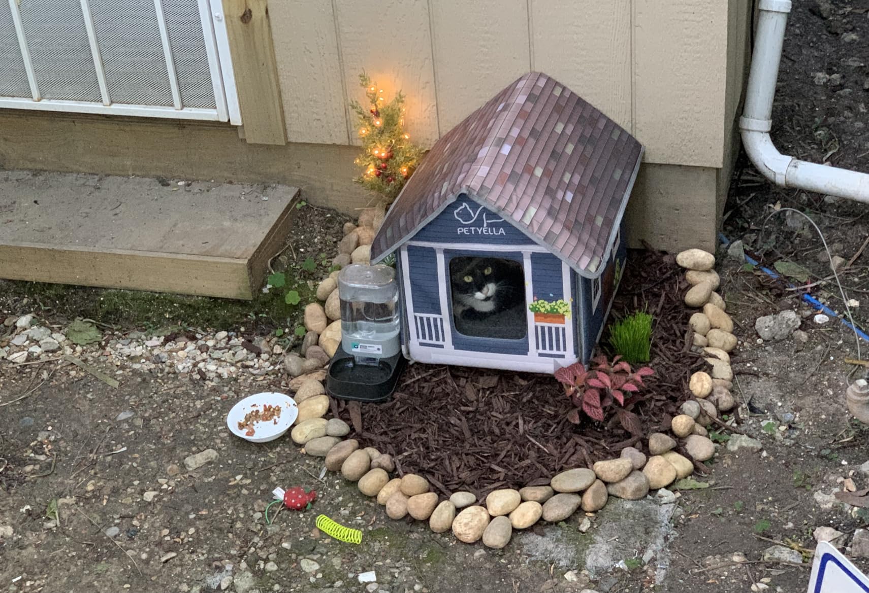Deluxe Heated Cat House for Winter - Weatherproof, Insulated, Easy Assembly, Cat Heating Pad, Dual Escape Doors, Outdoor & Indoor Cat House - Blue Tiles Pethouse customer photo 1
