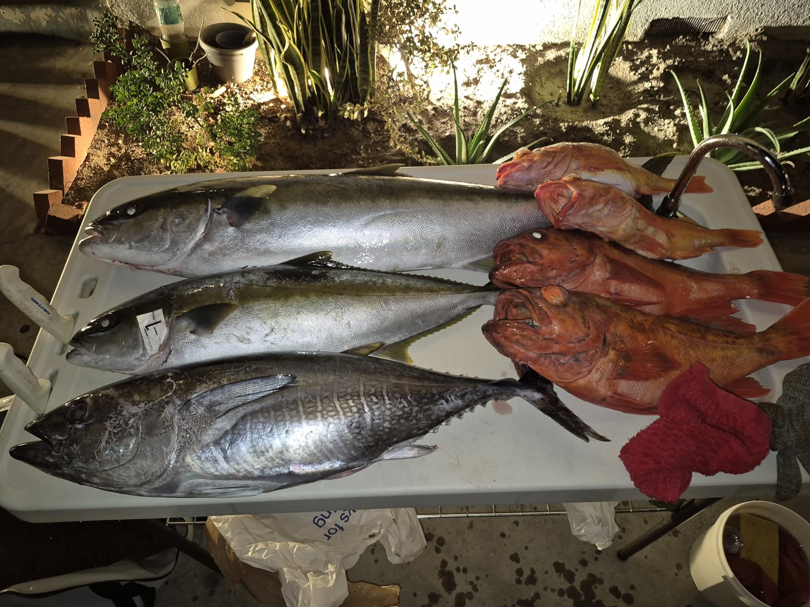 48'' Fish Kill Bag Game Bag Leak Proof Insulated for Offshore Inshore Fishing Designed in USA (48X24) customer photo 2