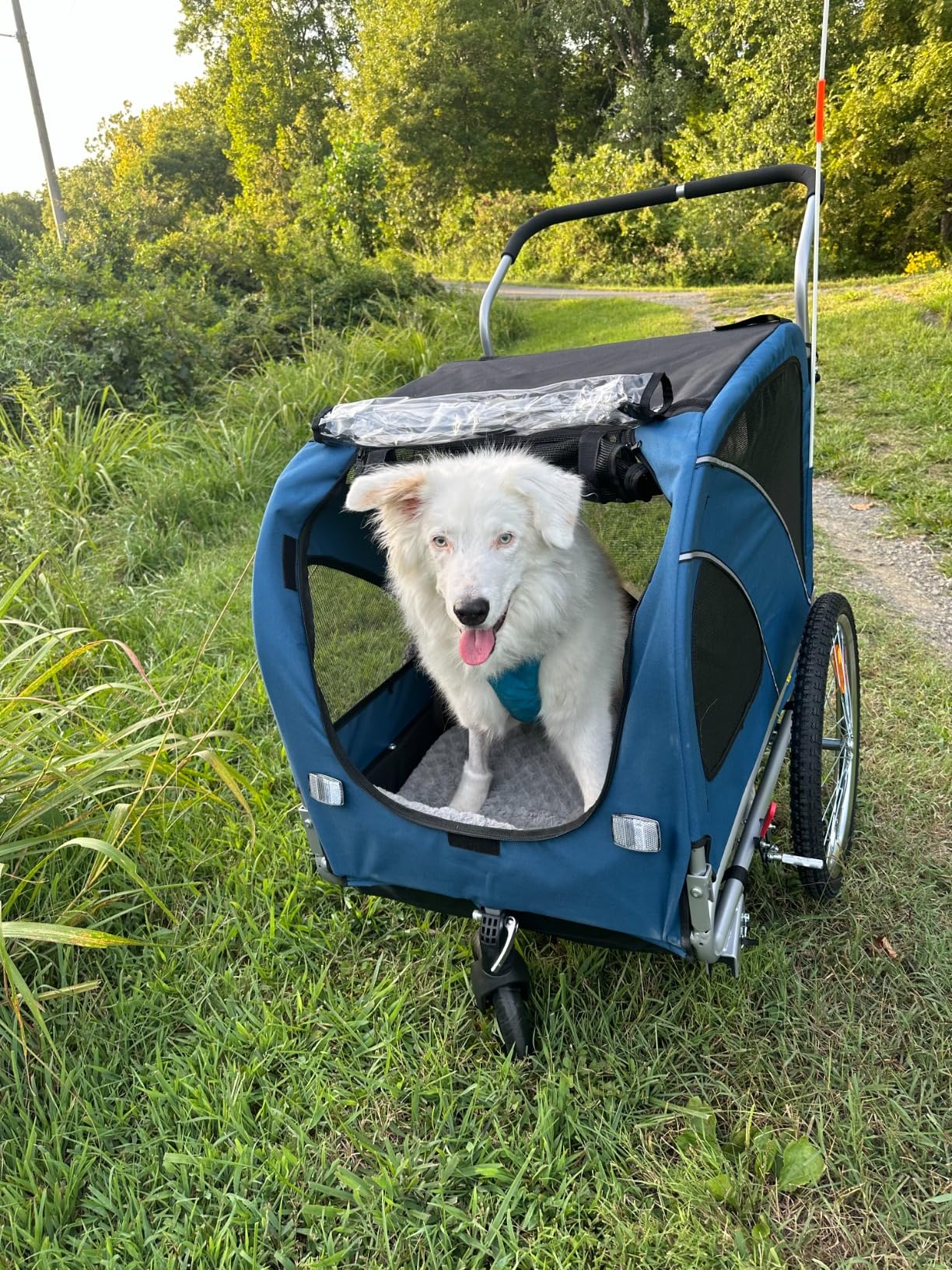 Sepnine Dog Bike Trailer, Dog Cart for Bicycle, Suitable for Small and Medium Pets, Easy Folding Cart Frame, Quick Release Wheel, Non-Slip Floor, Internal Leash, 66LBS Orange customer photo 2