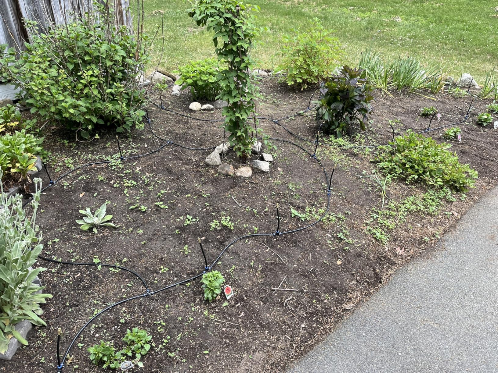 Thiswing 360 Adjustable Drip Irrigation System - 50 FT Automatic Garden Watering System with 16 Nozzles, Raised Bed Sprinkler Irrigation System, Garden Mister for Yard, Lawn, Plants, 5/16