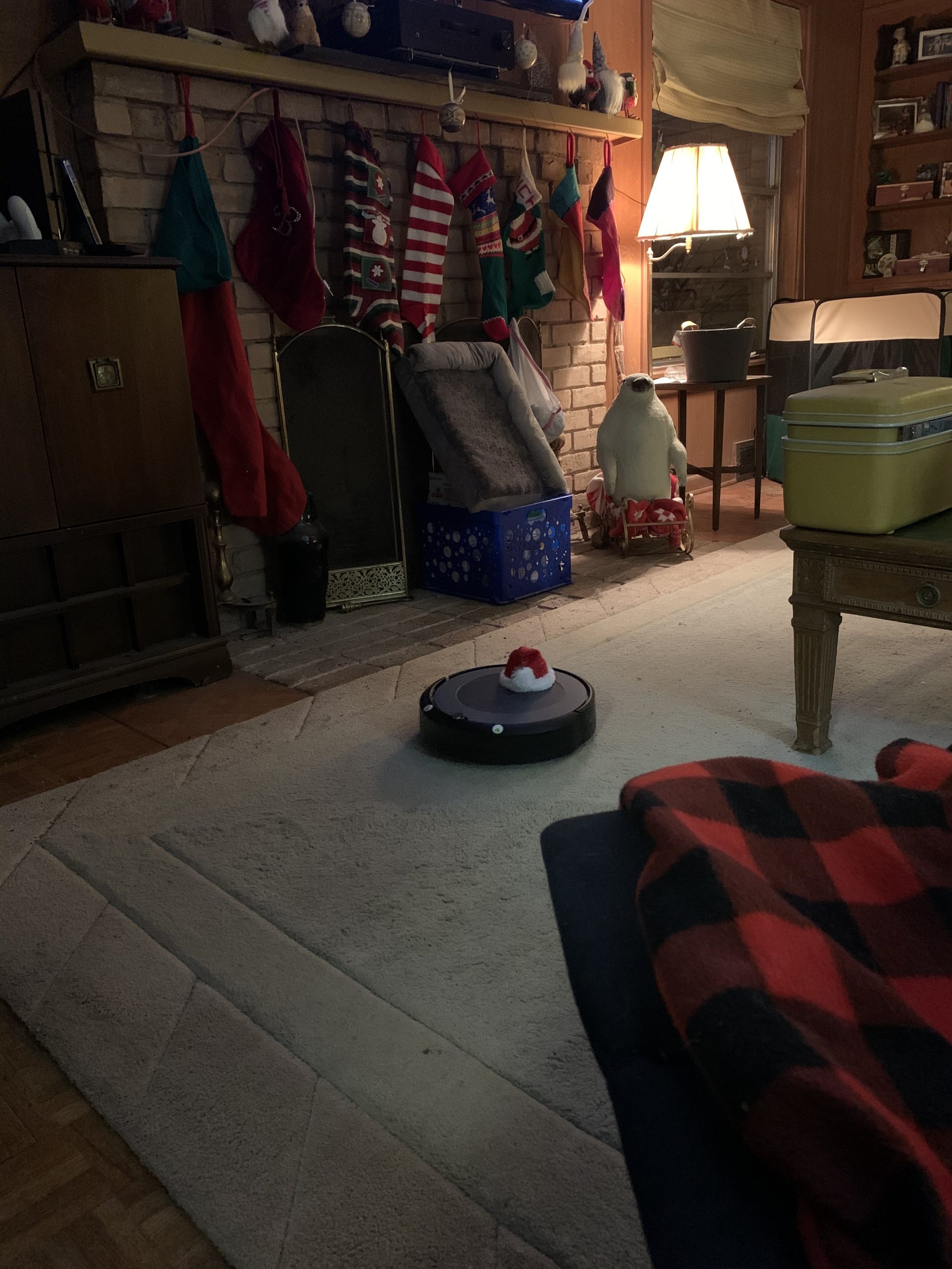 iRobot Roomba 105 Vac Robot Vacuum with AutoEmpty Dock - Self-Empties for 75 Days, LiDAR Navigation customer photo 1