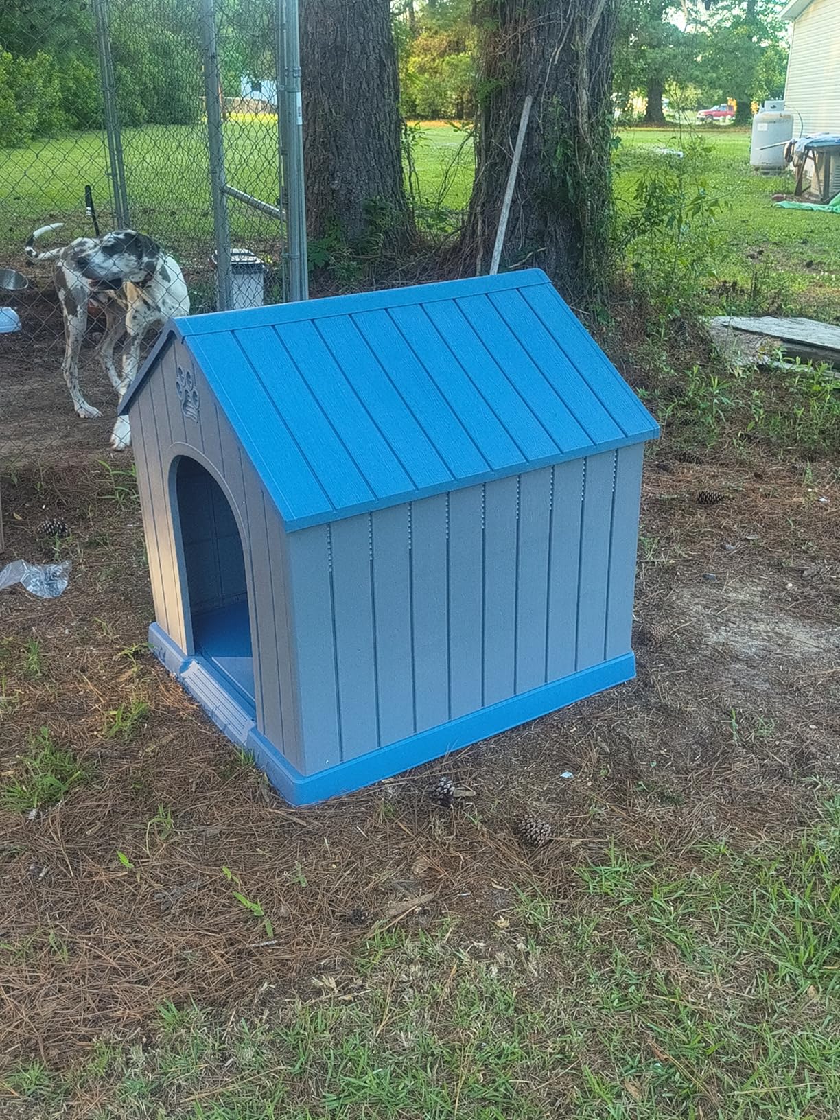 DRATO Large Dog House Indoor Outdoor Waterproof, Puppy Shelter with Air Vents and Elevated Floor, Sturdy Dog Kennel for Small to Large Sized Dogs, Easy to Assemble (Blue, 38.62x36.26x38.07 Inches) customer photo 2