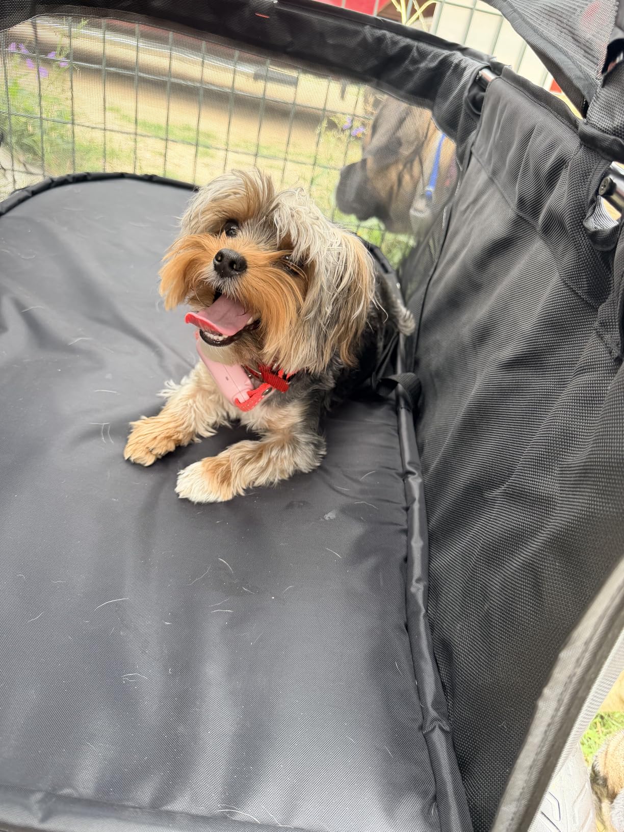 Zoosky Pet Stroller for Large Dogs up to 110lbs, Large Pet Stroller for Multiple Pets, All-Terrain with Adjustable Handle & Mesh Dual-Window, 1680D Waterproof Oxford Fiber customer photo 2