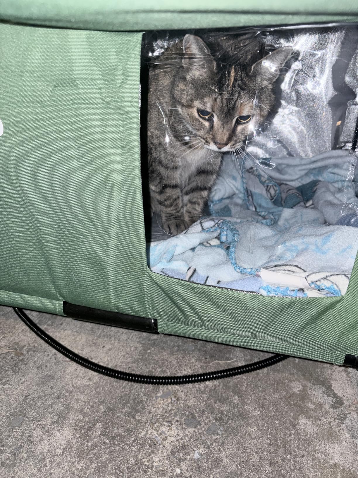 Pawaboo Heated Cat House for Outdoor in Winter, Weatherproof Cats Shelter for Outside with Waterproof Awning & Elevated Base, Insulated Outdoor Cats House with Heater for Feral Barn Cat customer photo 1