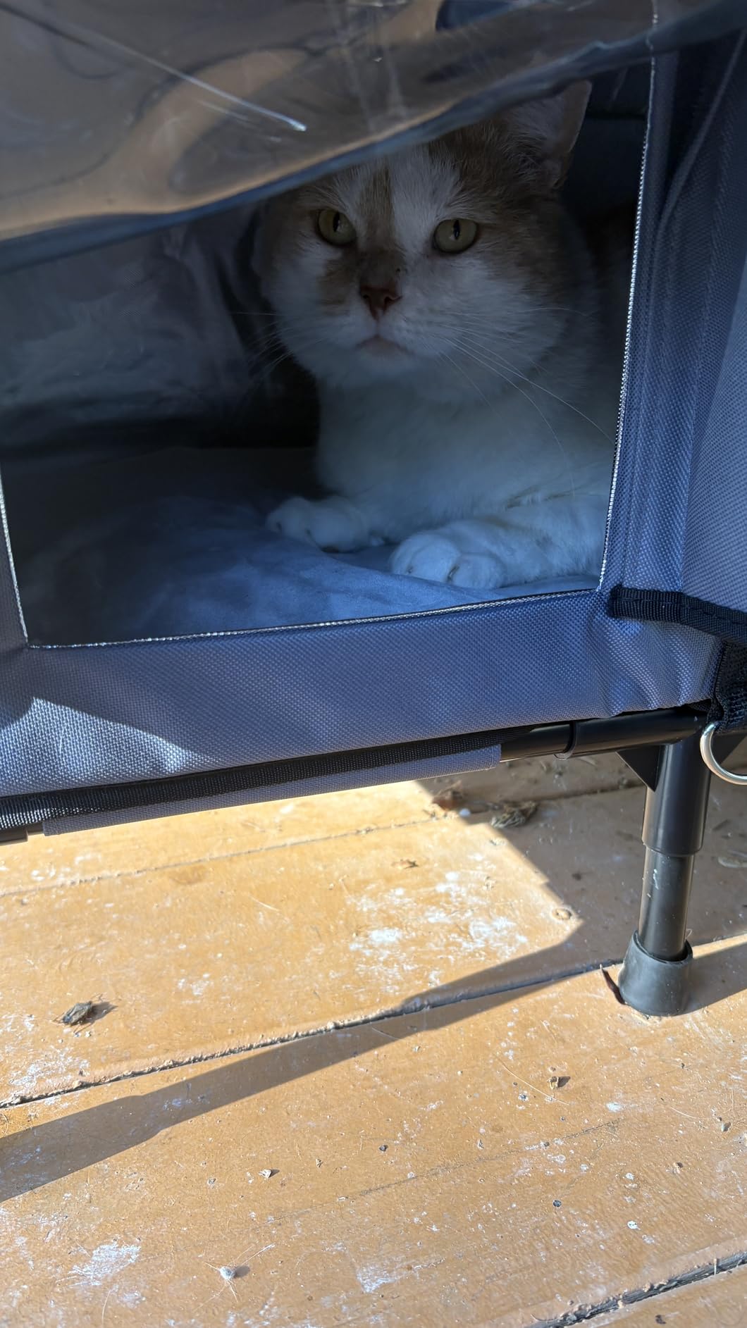 Gimars Upgraded Pitched Roof Indestructible Heated Cat House for Outdoor Cat with Safe Escape Door, 100% Weatherproof Winter Cat Shelter 5.1