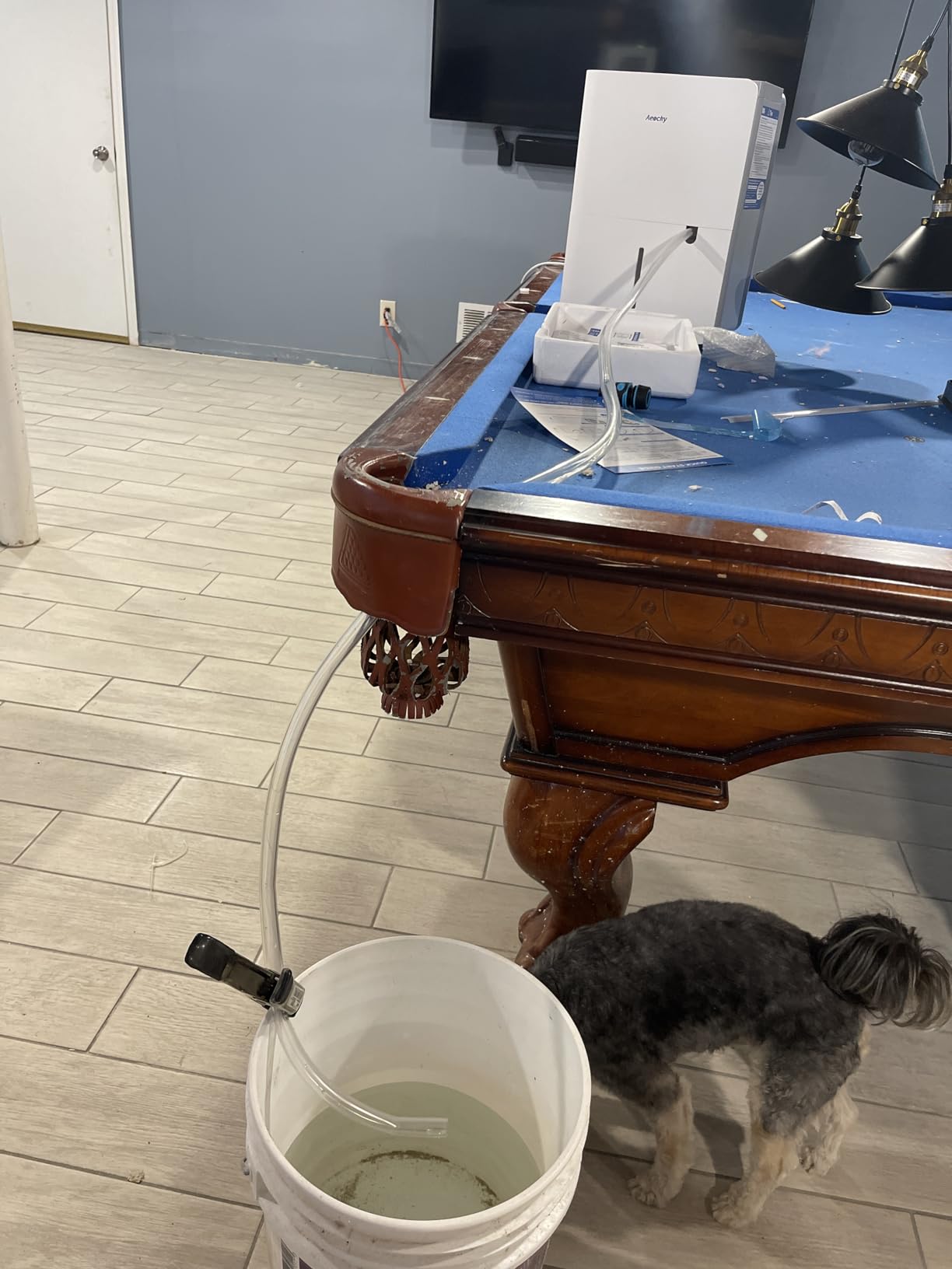 AEOCKY 50 Pint/Day, 3500Sq.Ft Ultra-Quiet 40dB Dehumidifier with Drain Hose customer photo 2