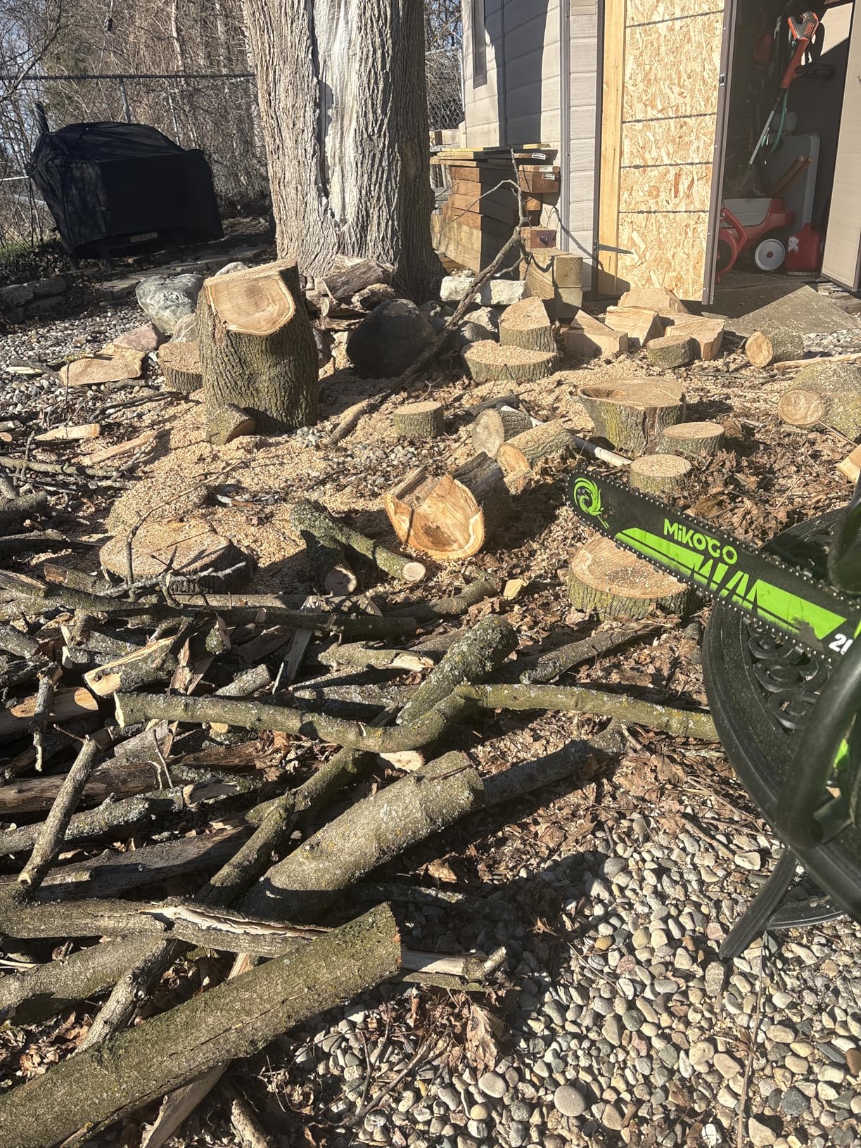 Gas Chainsaw 58CC 2-Cycle Engine Gasoline Powered Chainsaw,18 & 22 Inch Gas Powered Chainsaws for Tree Cutting, Firewood, Logging customer photo 2
