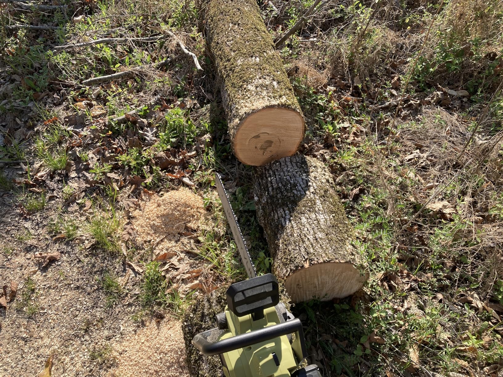 SEYVUM Cordless 40V 16 Inch Chainsaw with 2 x 4.0Ah Batteries, Electric Chain Saw with Tool-free Chain Tension, Auto Oiling, Heavy-Duty for Tree Felling, Firewood Cutting, Pruning customer photo 1