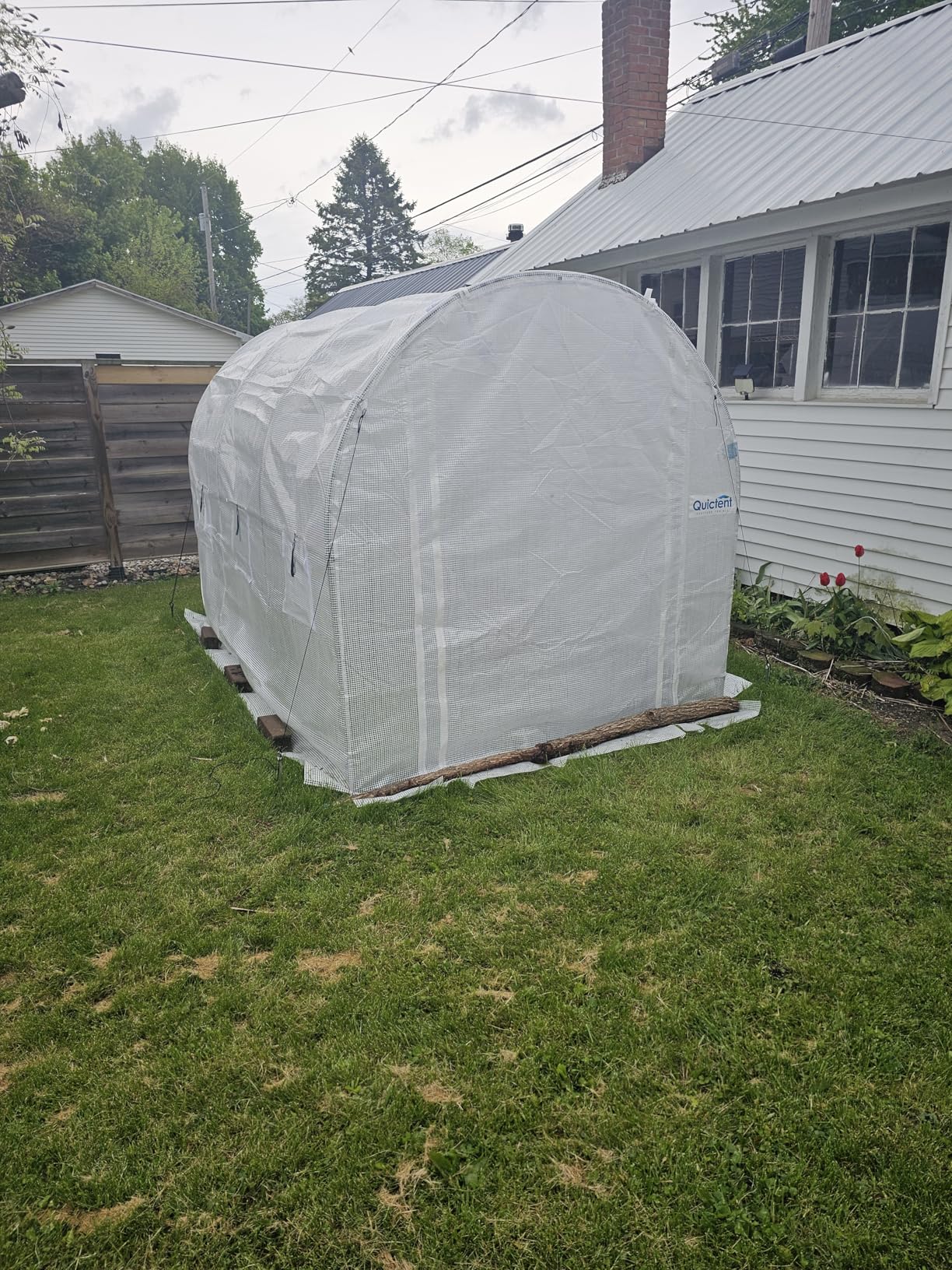 Quictent 10x7x7 FT Essential Greenhouse for Outdoors, Portable Walk-in Tunnel Hoop House with 6 Screen Windows & Zipper Door, Heavy Duty Frame for Garden Plant Vegetable, White customer photo 1