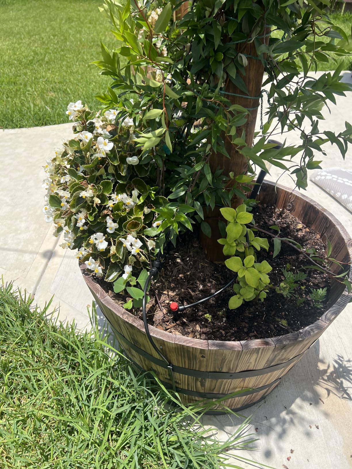 230FT Drip Irrigation System for Garden with 38pcs Adjustable Copper Nozzles & Emitters, Automatic Garden Watering System with 1/2