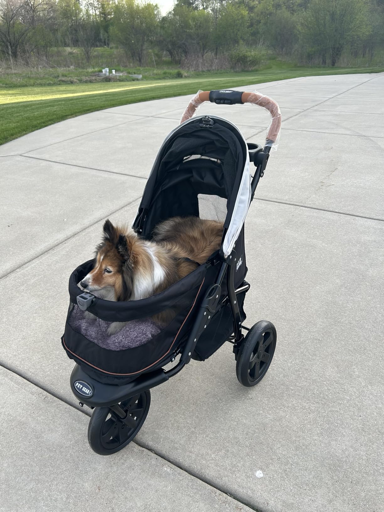 Pet Gear No-Zip AT3 Pet Stroller for Cats/Dogs, Zipperless Entry, Easy One-Hand Fold, Jogging Tires, Removable Liner, Cup Holder + Storage Basket, Sea Salt customer photo 2