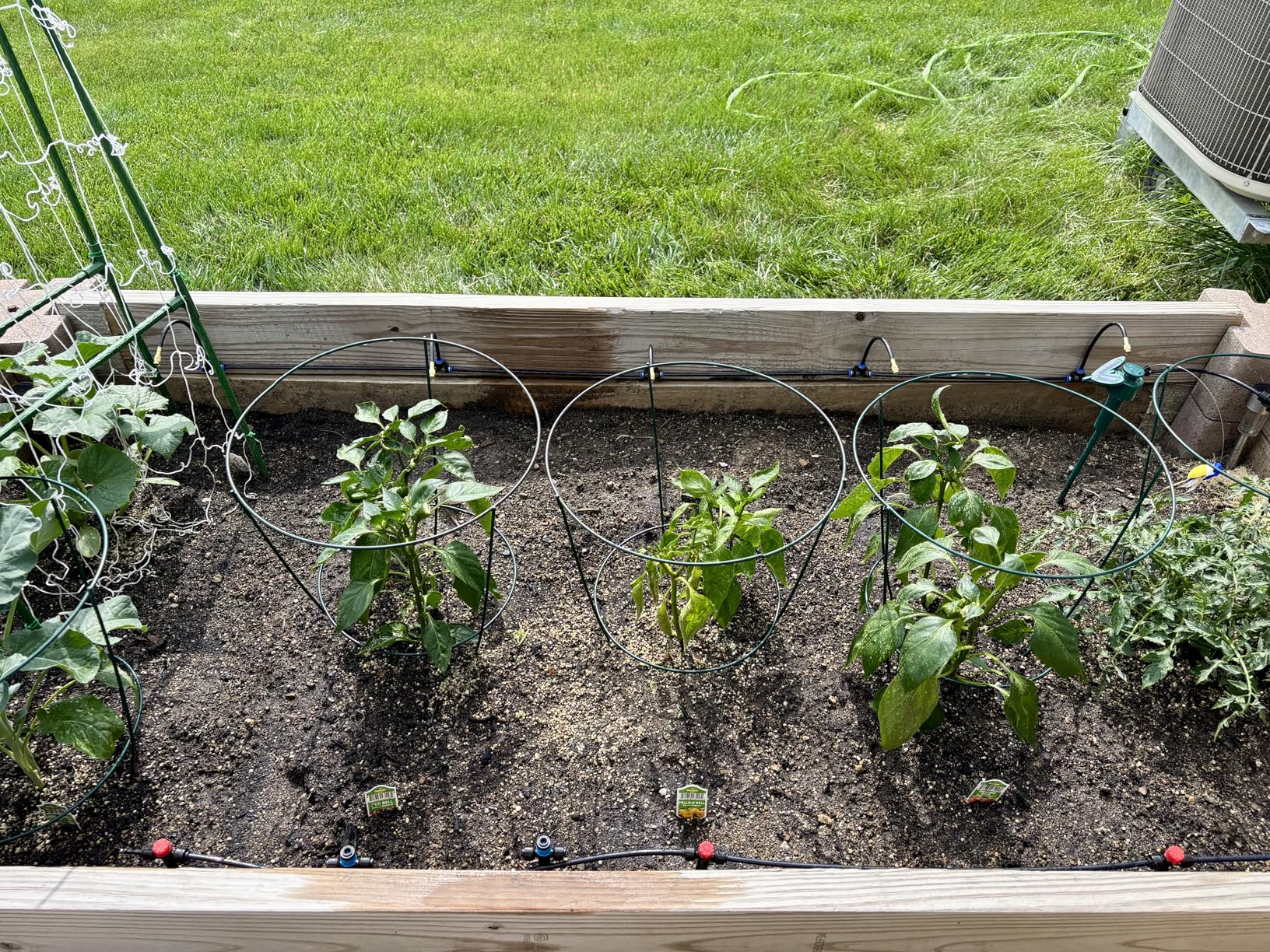 50FT Drip Irrigation System for Starter: Small Garden Quick Connect 1/4