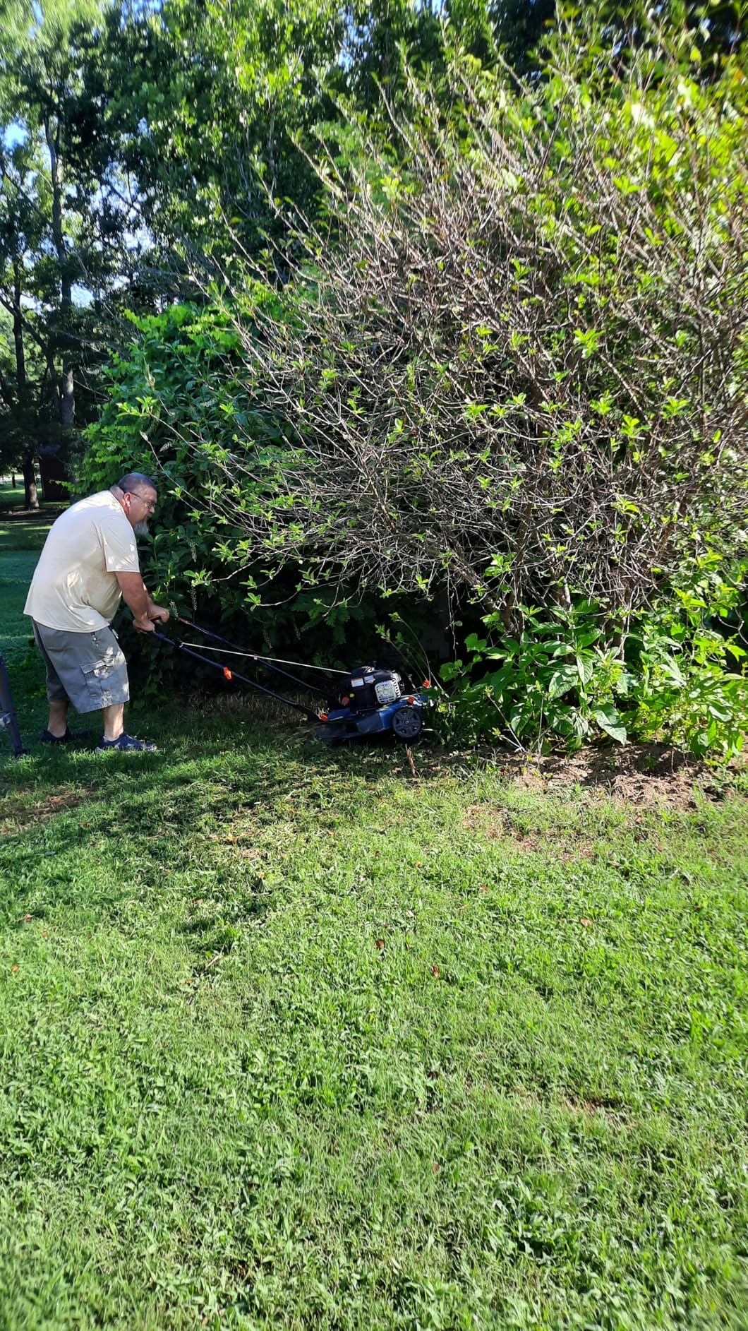 SENIX 22Inch 201cc 3-in-1 Gas Lawn Mower, Rear Wheel Self-Propelled Mower customer photo 1