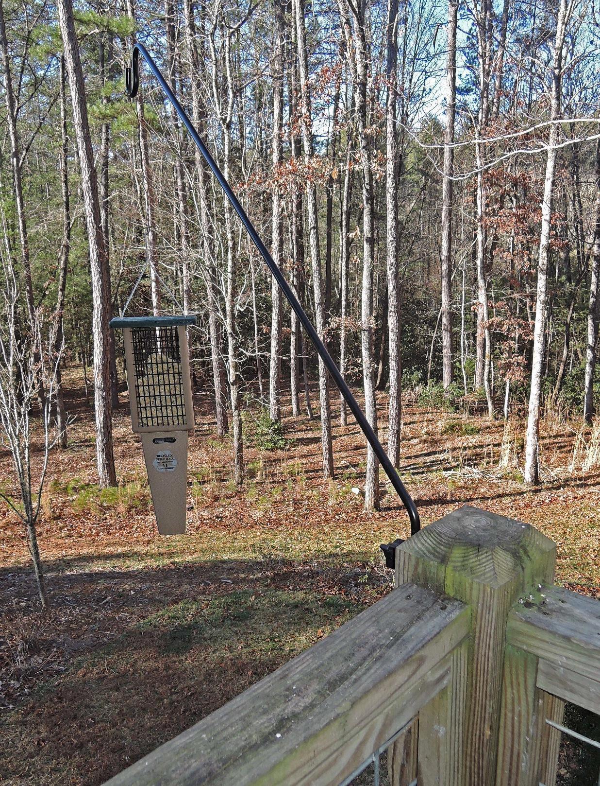 Birds Choice Pileated Suet Feeder with Tail Prop, Holds 2 Suet Cakes | Hanging Suet Bird Feeder for Woodpeckers, Jays, Nuthatches | Sturdy for Garden & Backyard | Taupe & Green, 8