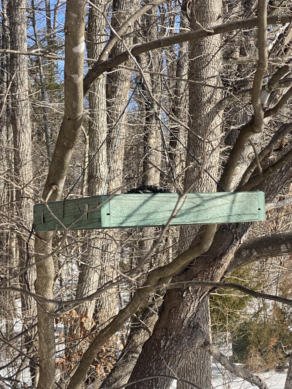 Woodlink Going Green Platform Bird Feeder Model GGPLAT customer photo 1