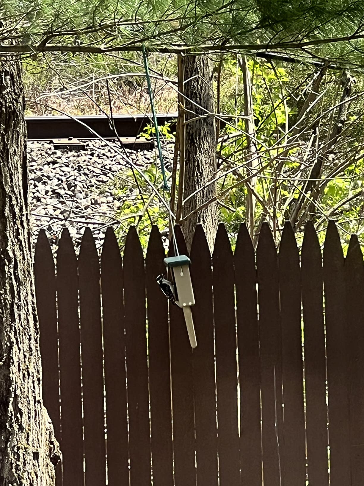 Birds Choice Suet Feeder with Tail Prop and Roof | Taupe & Brown | Holds 1 Suet Cake, Serves Woodpeckers, Jays and Nuthatches customer photo 1