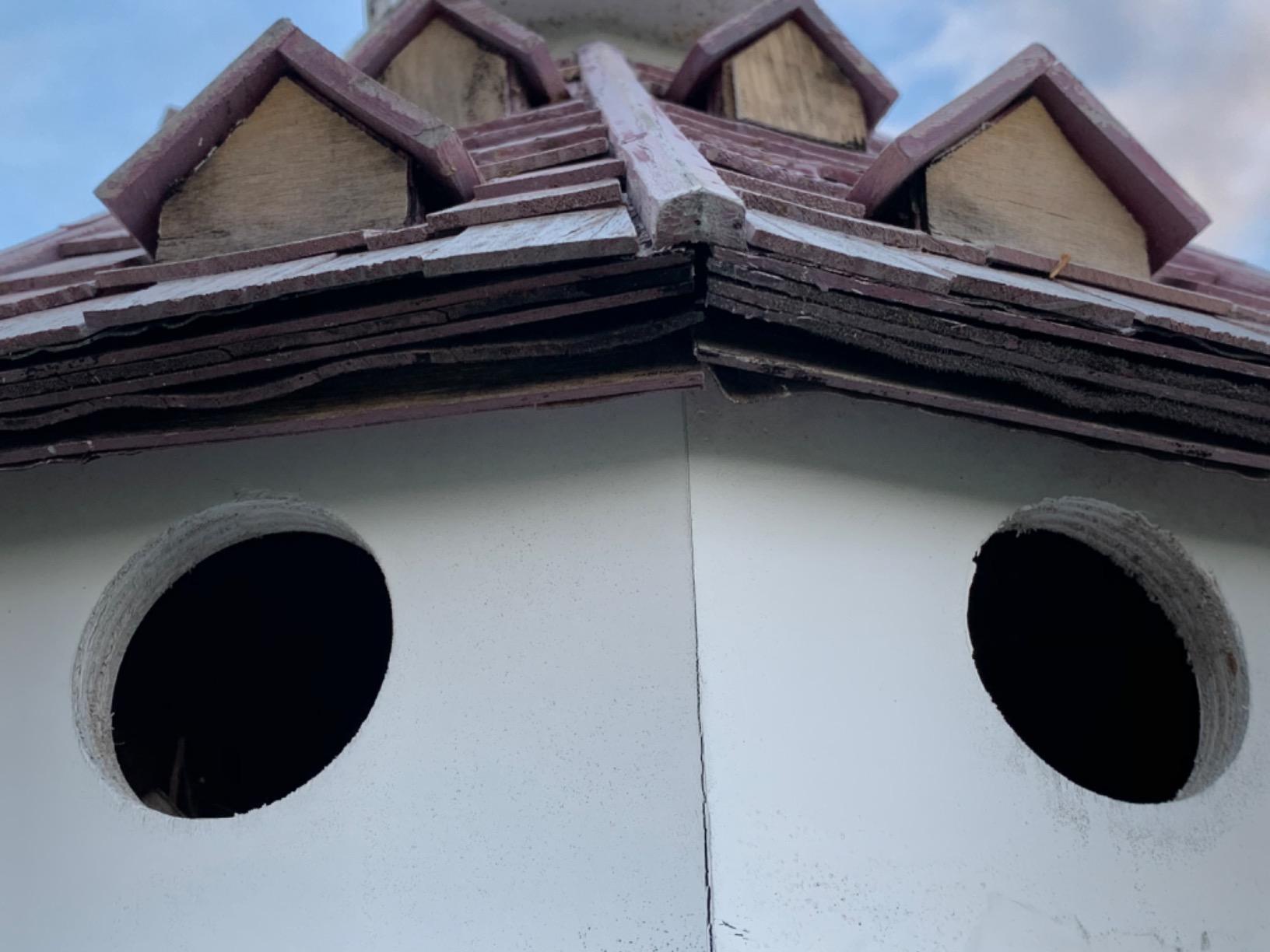 Home Bazaar Hotel California - Purple Martin House, Red/White/Pine customer photo 1
