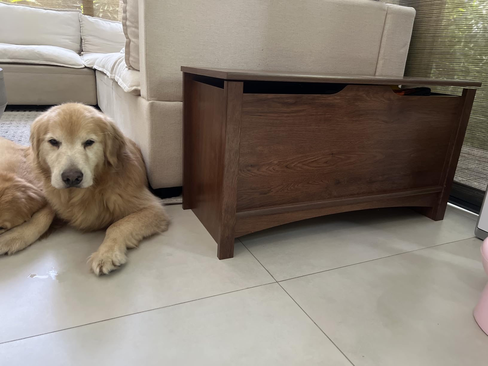 Sauder Shoal Creek Storage Chest, Toy Storage Chest for Living Room, Storage Trunk, in Oiled Oak customer photo 1