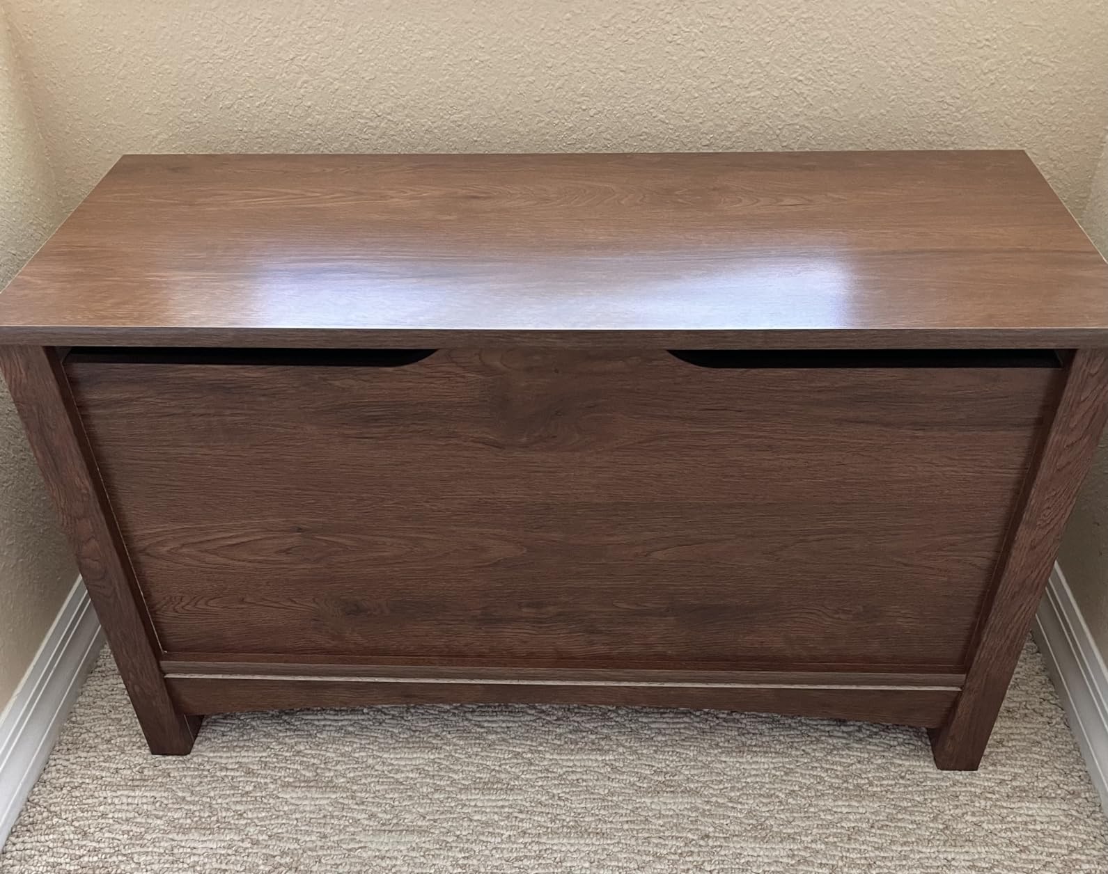 Sauder Shoal Creek Storage Chest, Toy Storage Chest for Living Room, Storage Trunk, in Oiled Oak customer photo 2