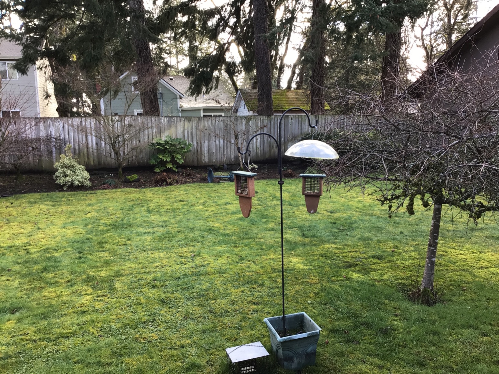 Kettle Moraine Recycled Plastic Single Suet Cake Tail Prop Suet Bird Feeder with Hanging Cable customer photo 1