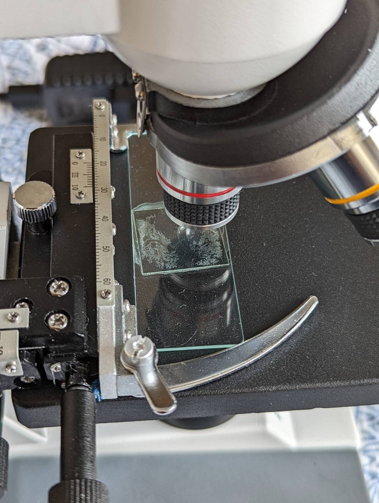 AmScope 40X-1000X Student Biological Compound Microscope with Sturdy All-Metal Framework, Optical Glass Lenses, Mechanical Stage and Coarse & Fine Focusing customer photo 1