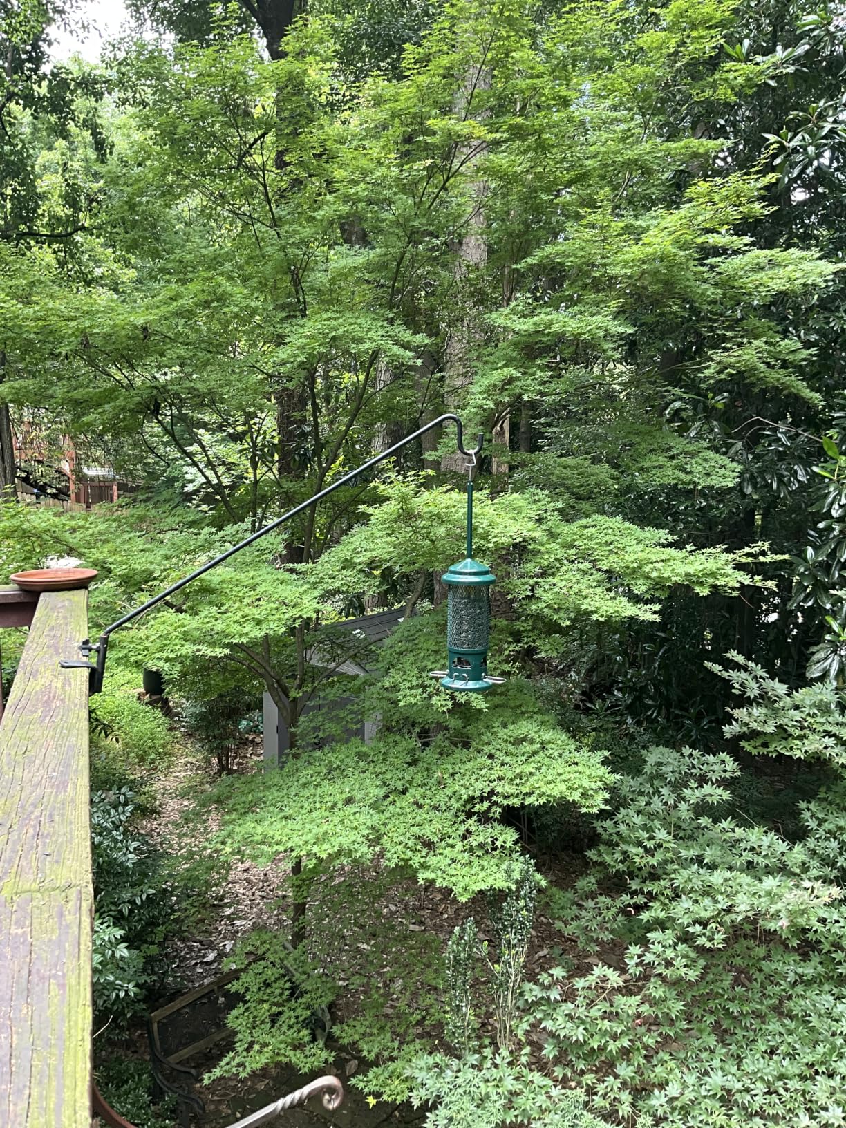 Squirrel Buster Standard Squirrel-proof Bird Feeder w/4 Metal Perches, 1.3-pound Seed Capacity, garden green | Four metal perches, weight-triggered closure, chew-proof design, easy cleaning customer photo 2